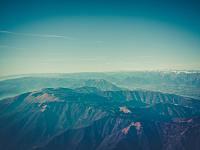 什么样的药材是好的?