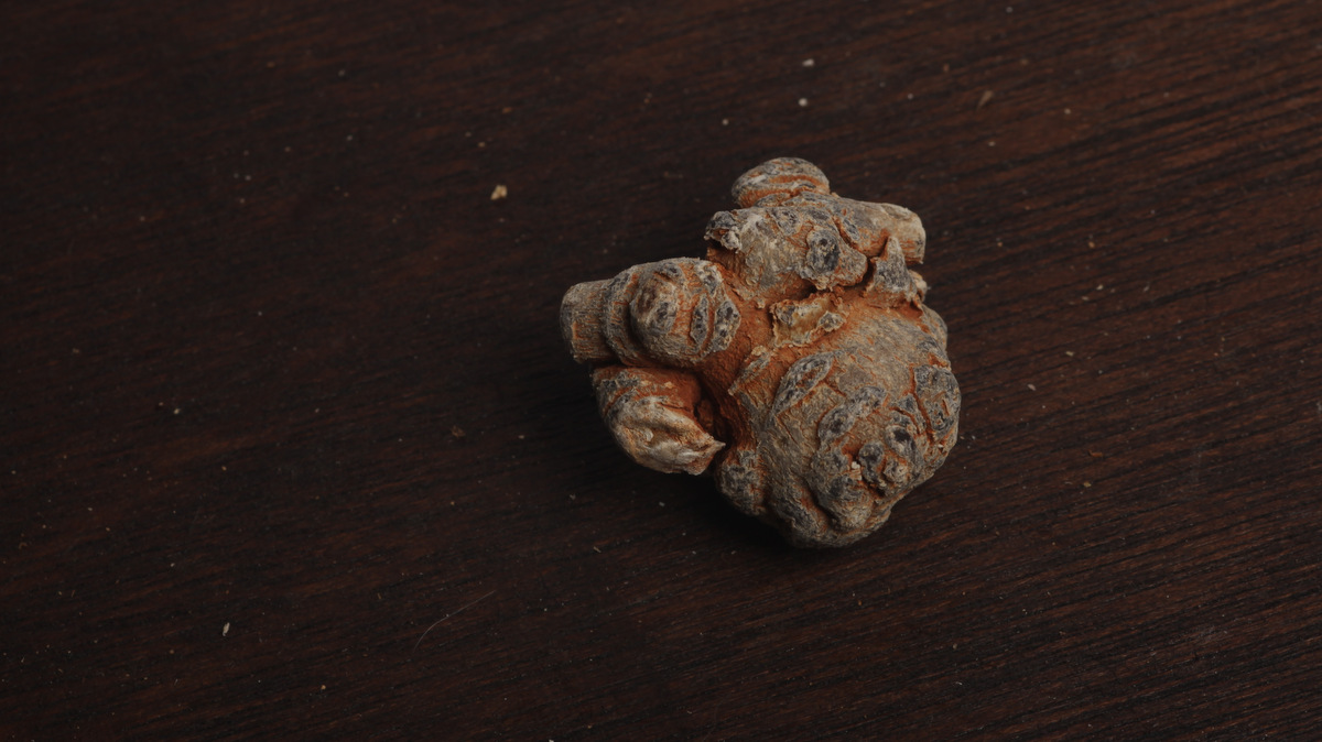 三七（20头）500g|云南文山