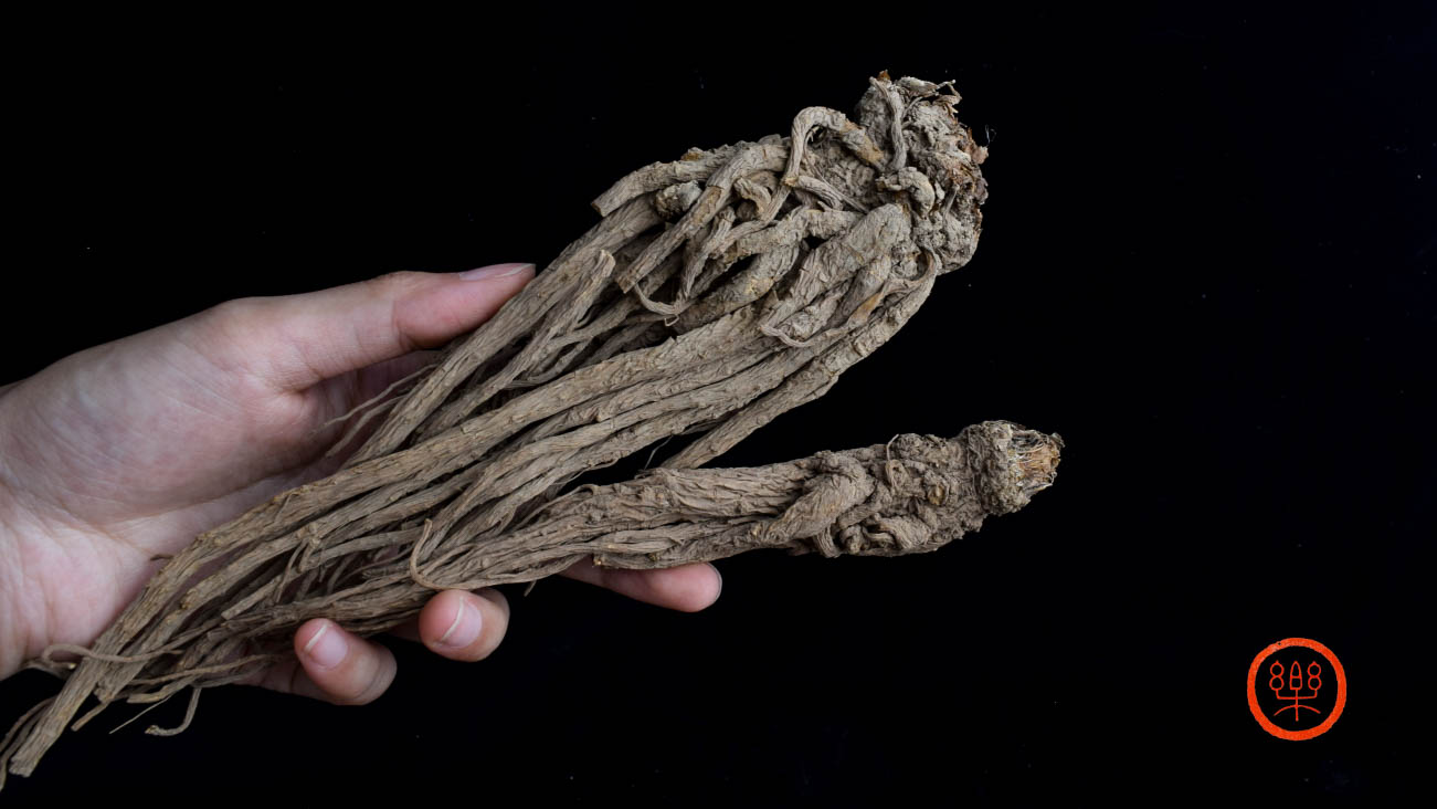 当归个250g|甘肃岷县