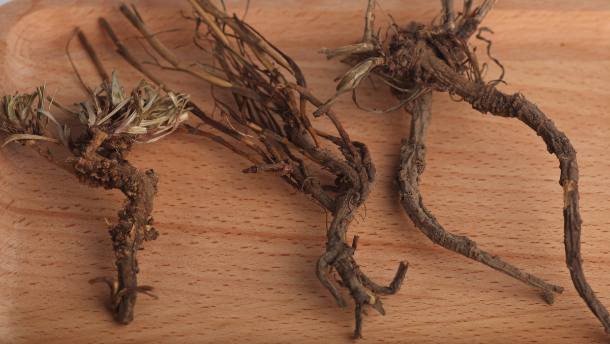 北柴胡（野生）250g|甘肃岷县