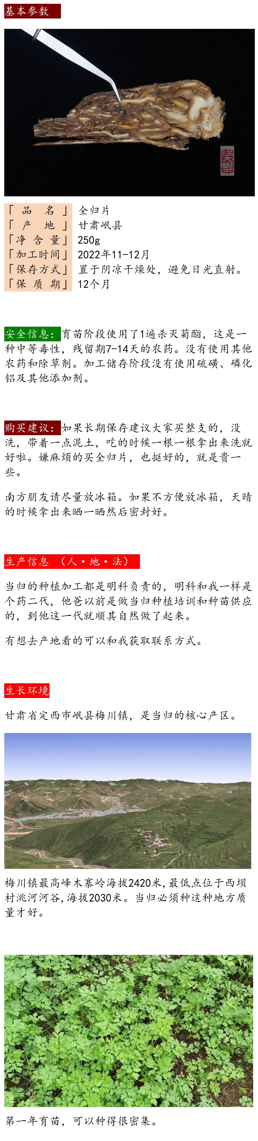 当归片250g|甘肃岷县  |  汪大乐