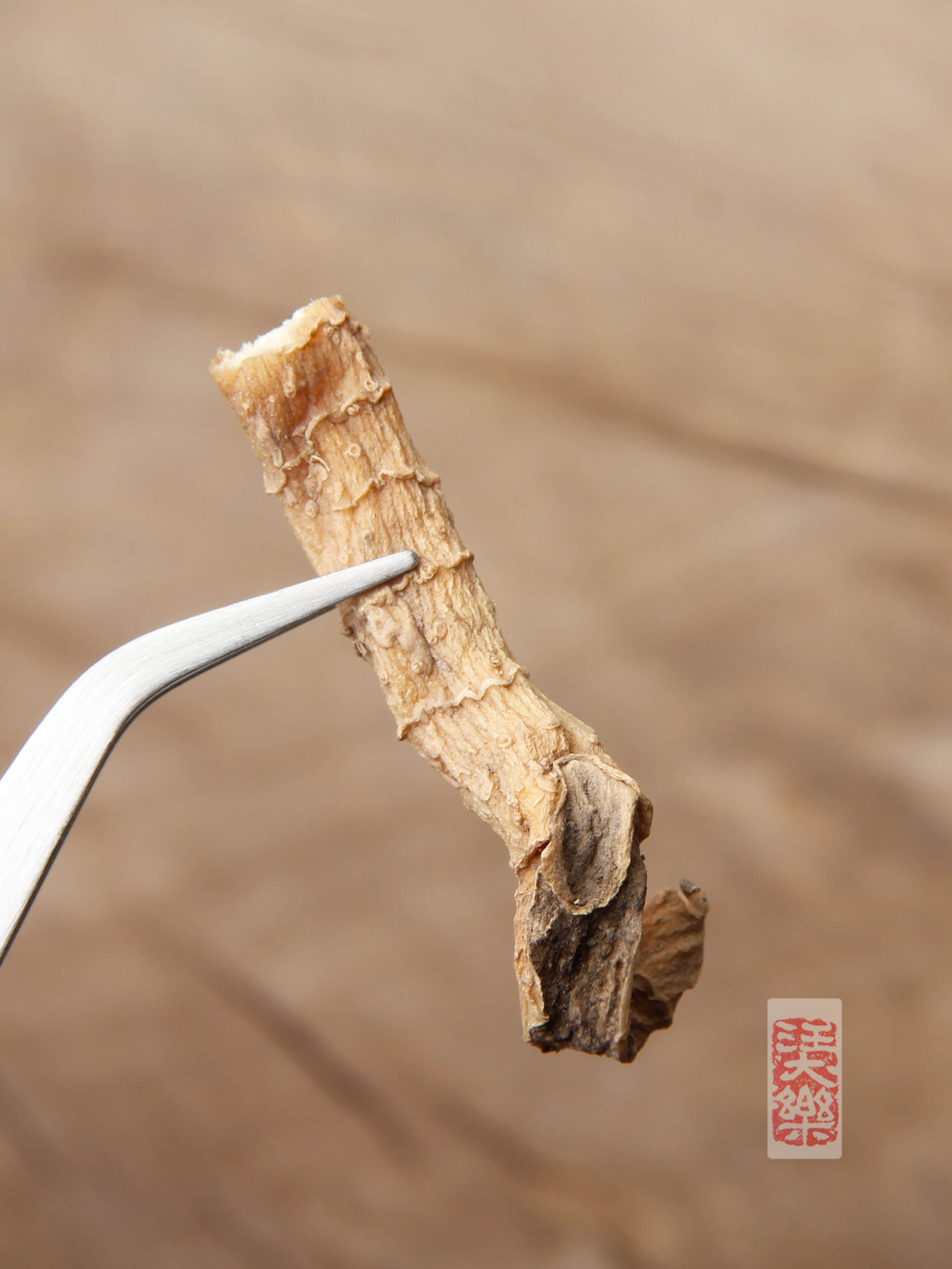 玉竹250g | 浙江磐安