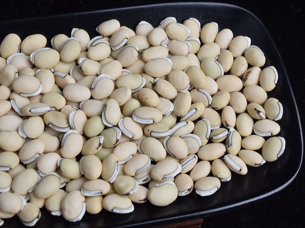 老品种白扁豆500g  |  汪大乐