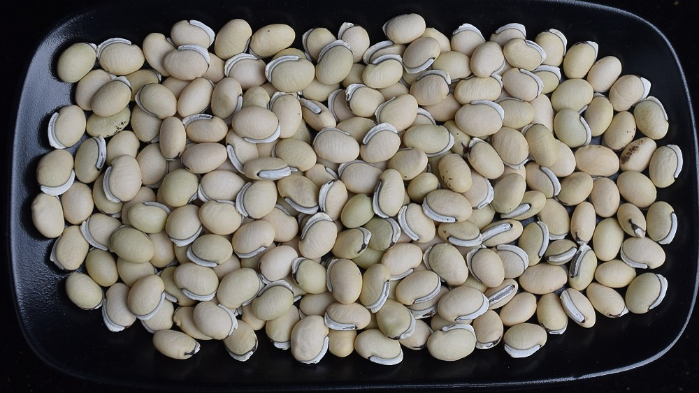 老品种白扁豆500g  |  汪大乐