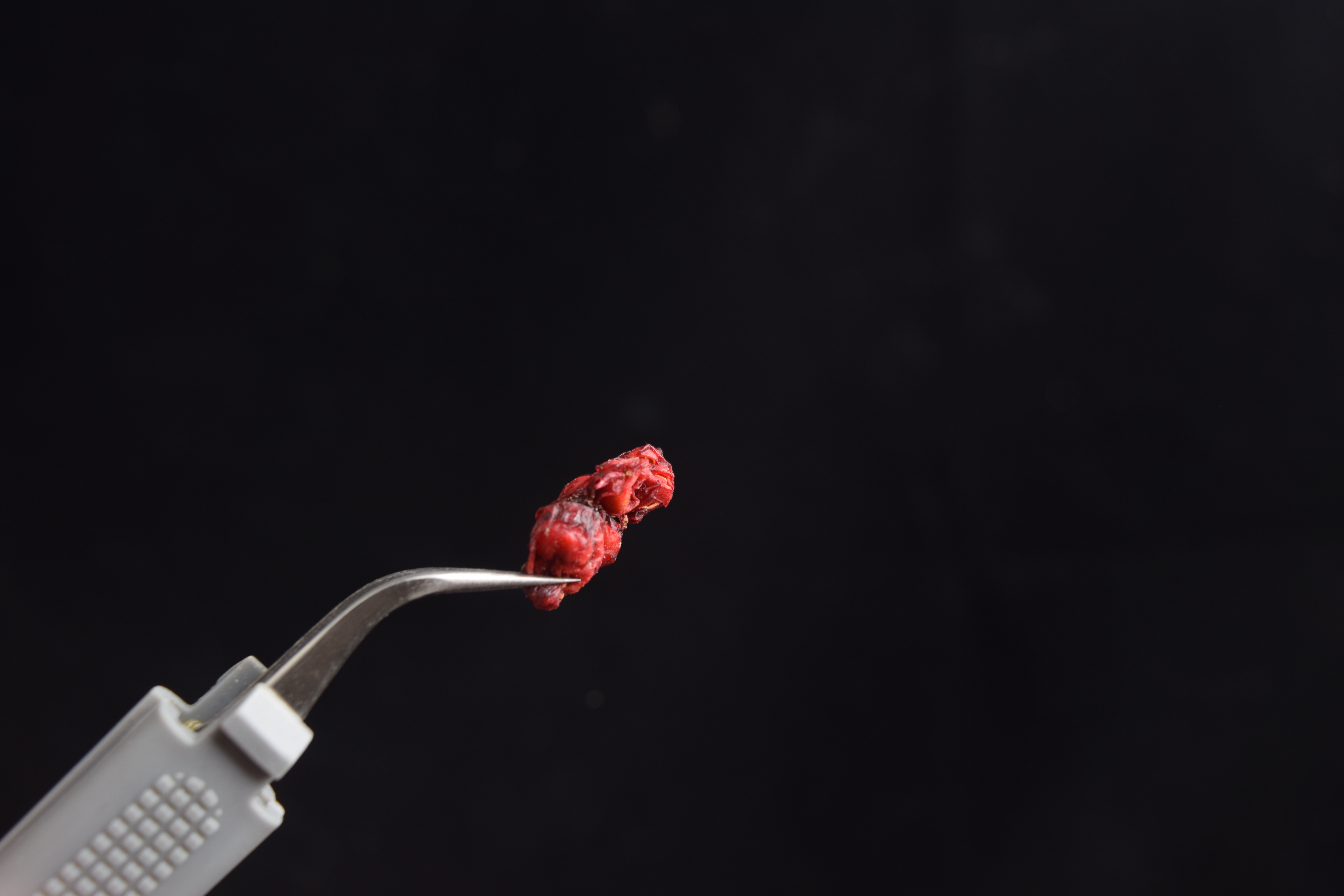 五味子200g 图片有点糊