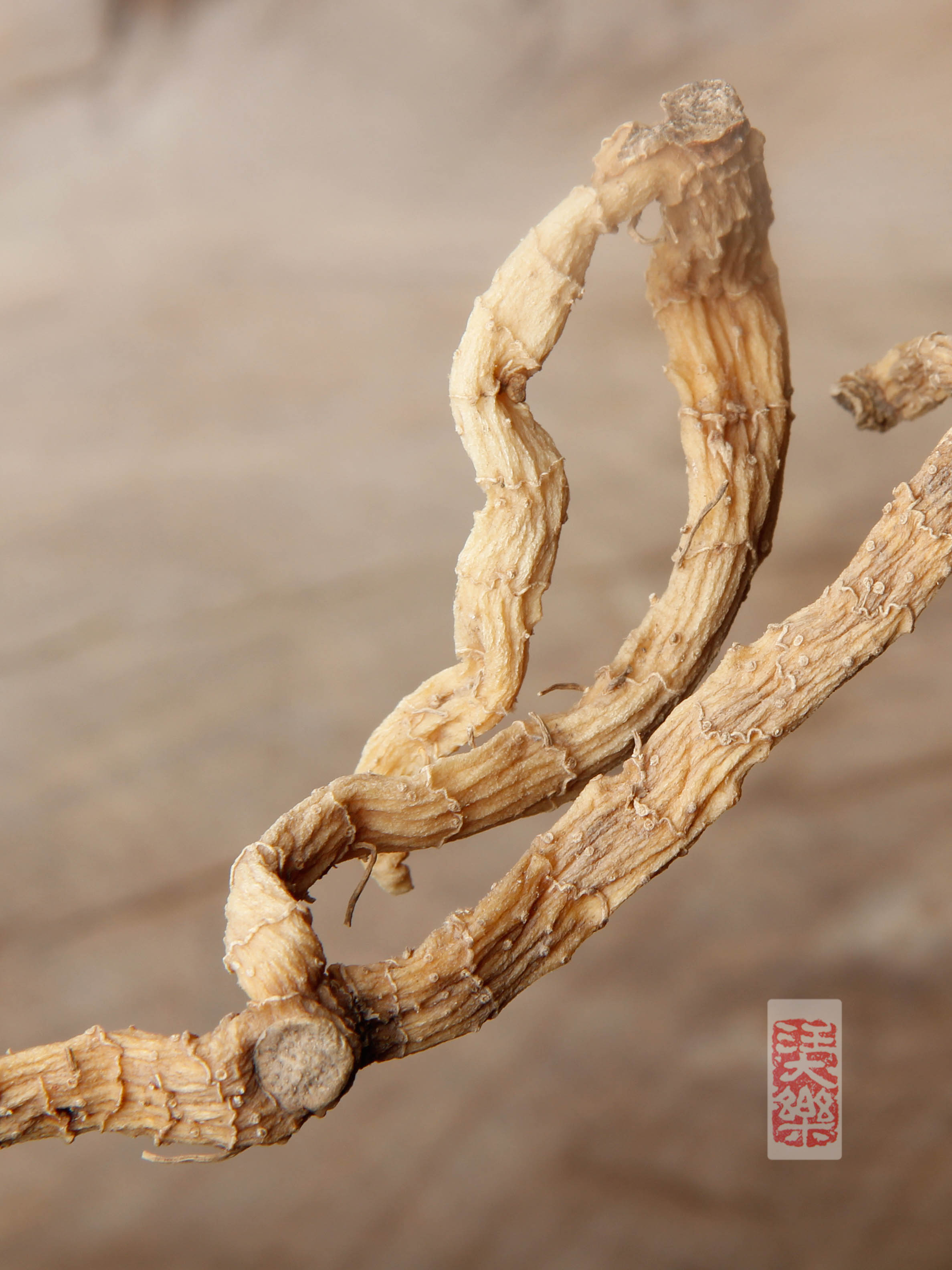 玉竹250g | 浙江磐安