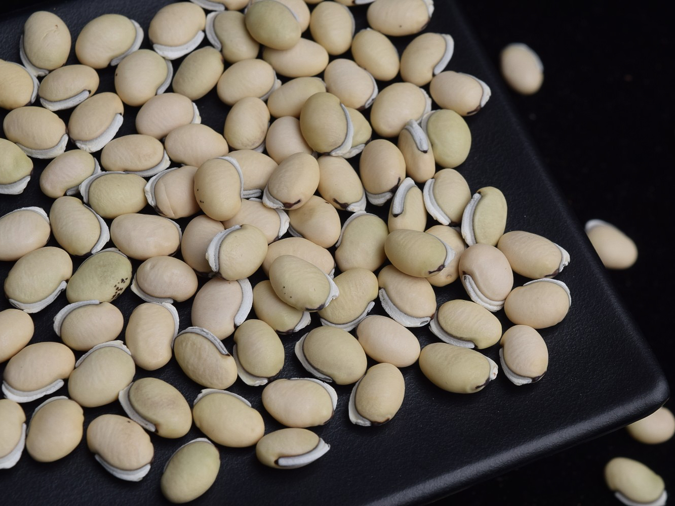 老品种白扁豆500g  |  汪大乐