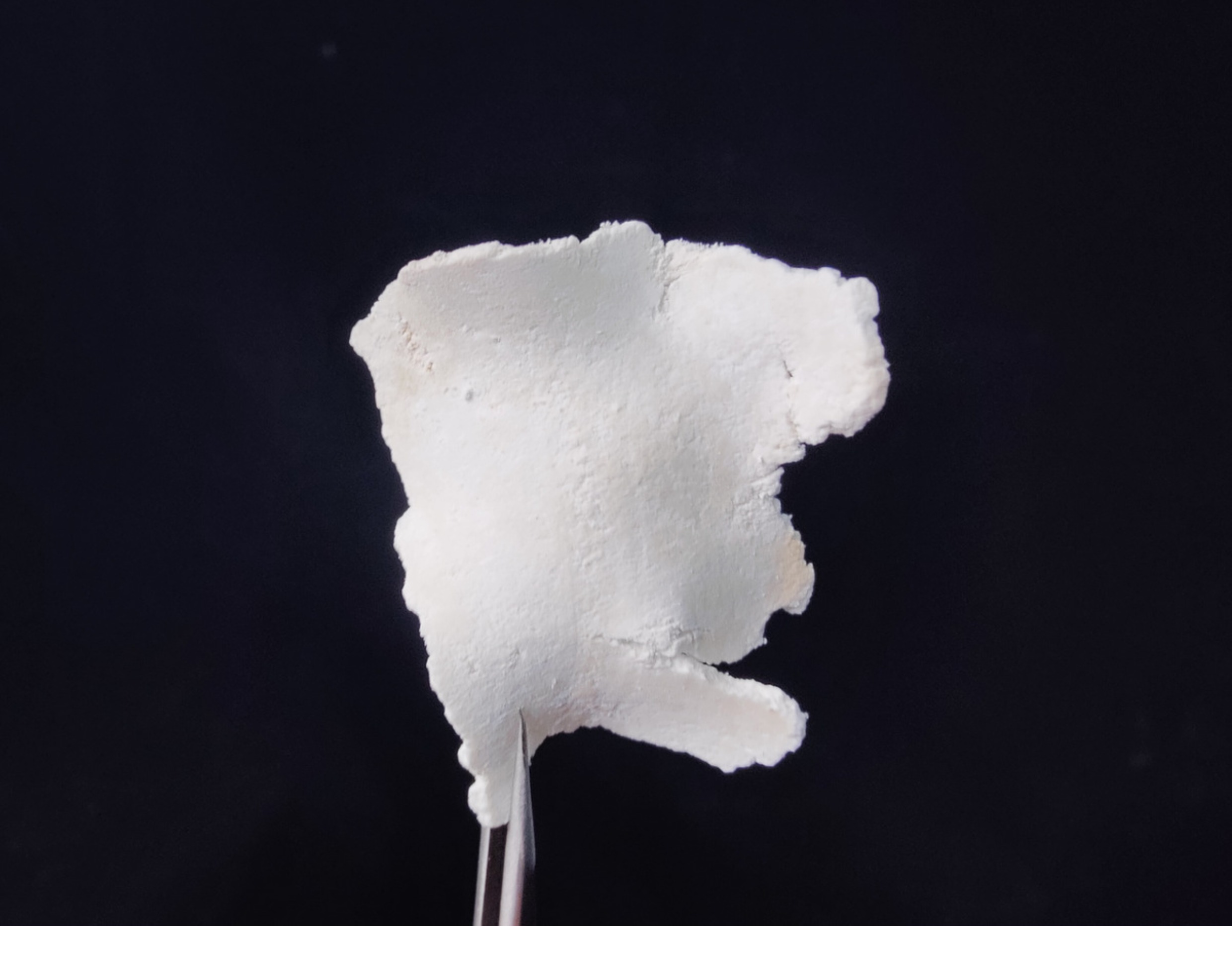 岳西茯苓薄片300g | 无硫熏生切片 | 汪大乐