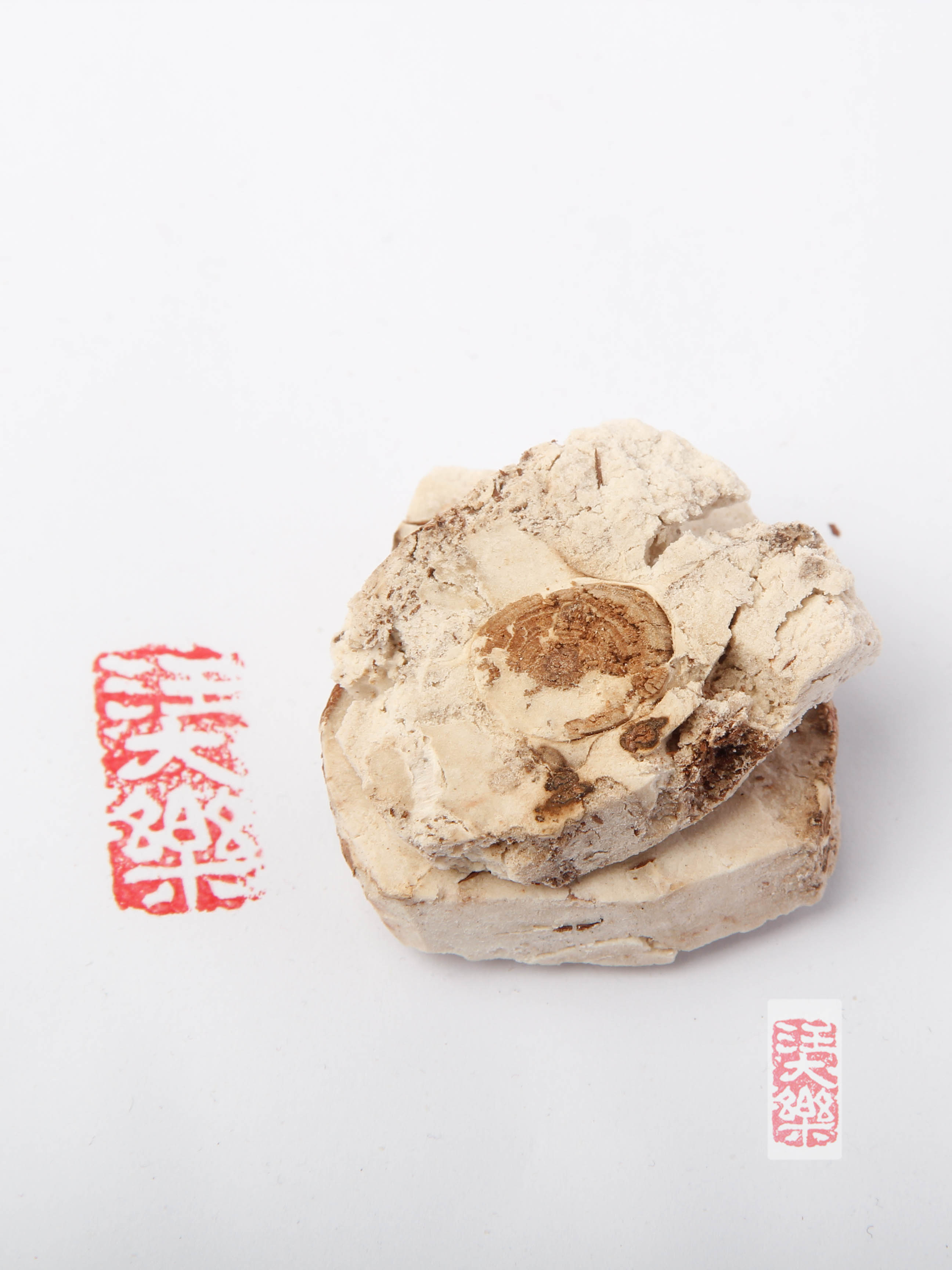 茯神500g   |  汪大乐