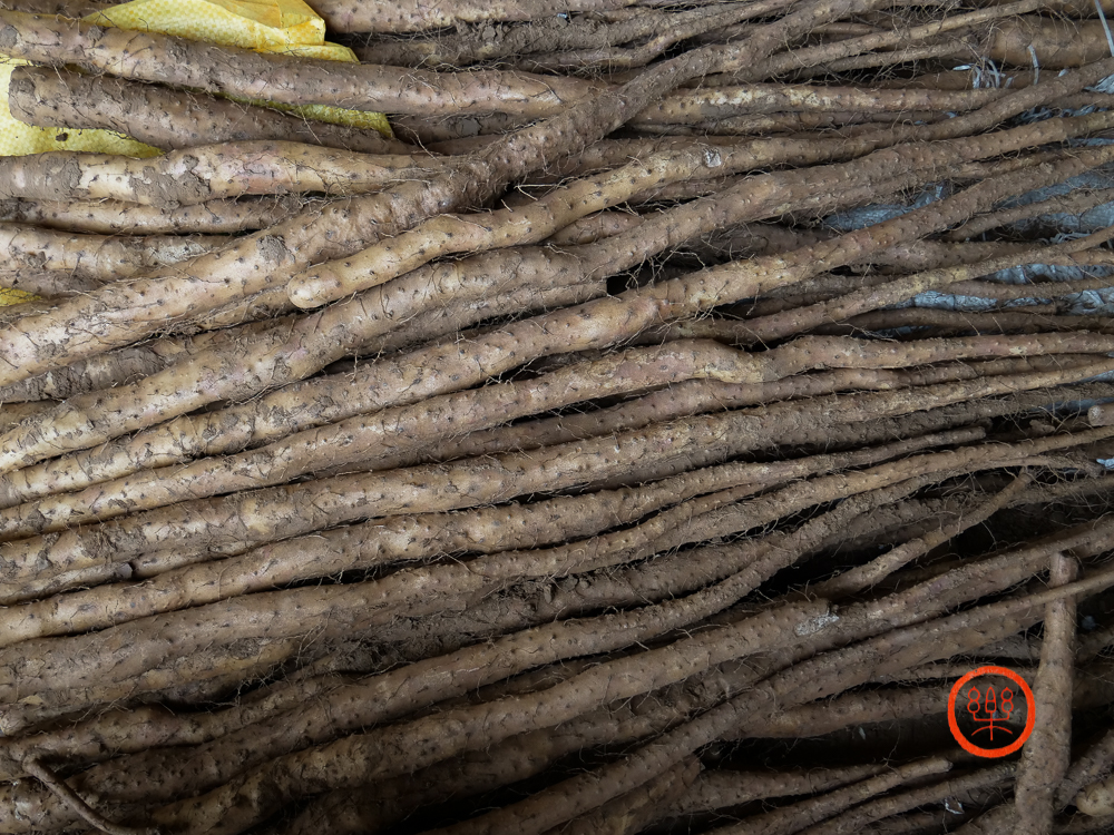 新鲜垆土怀山药(4.5斤)预订价