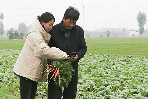 娜娜家生态农场