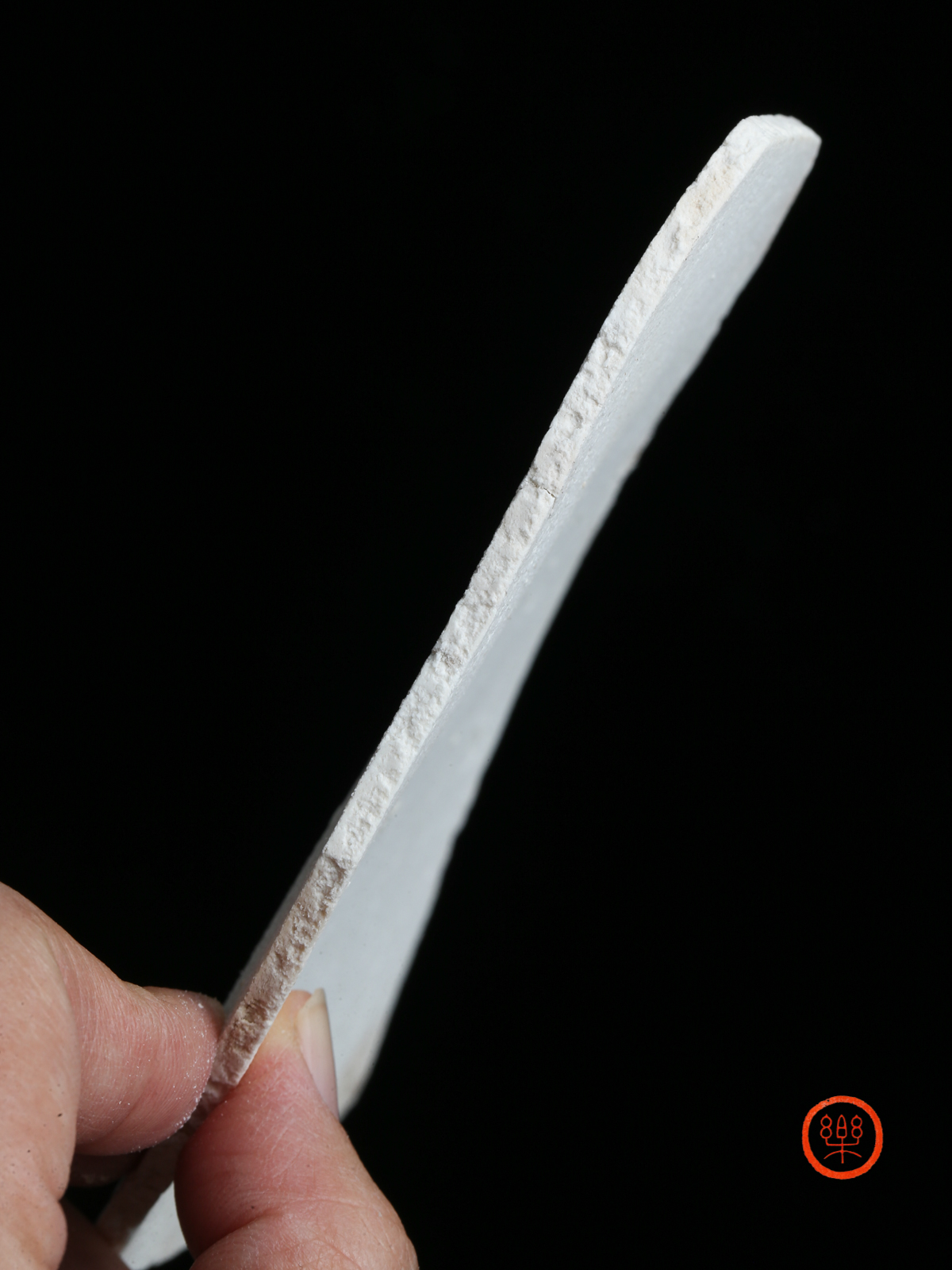茯苓大片300g|安徽岳西|发汗生切不熏硫