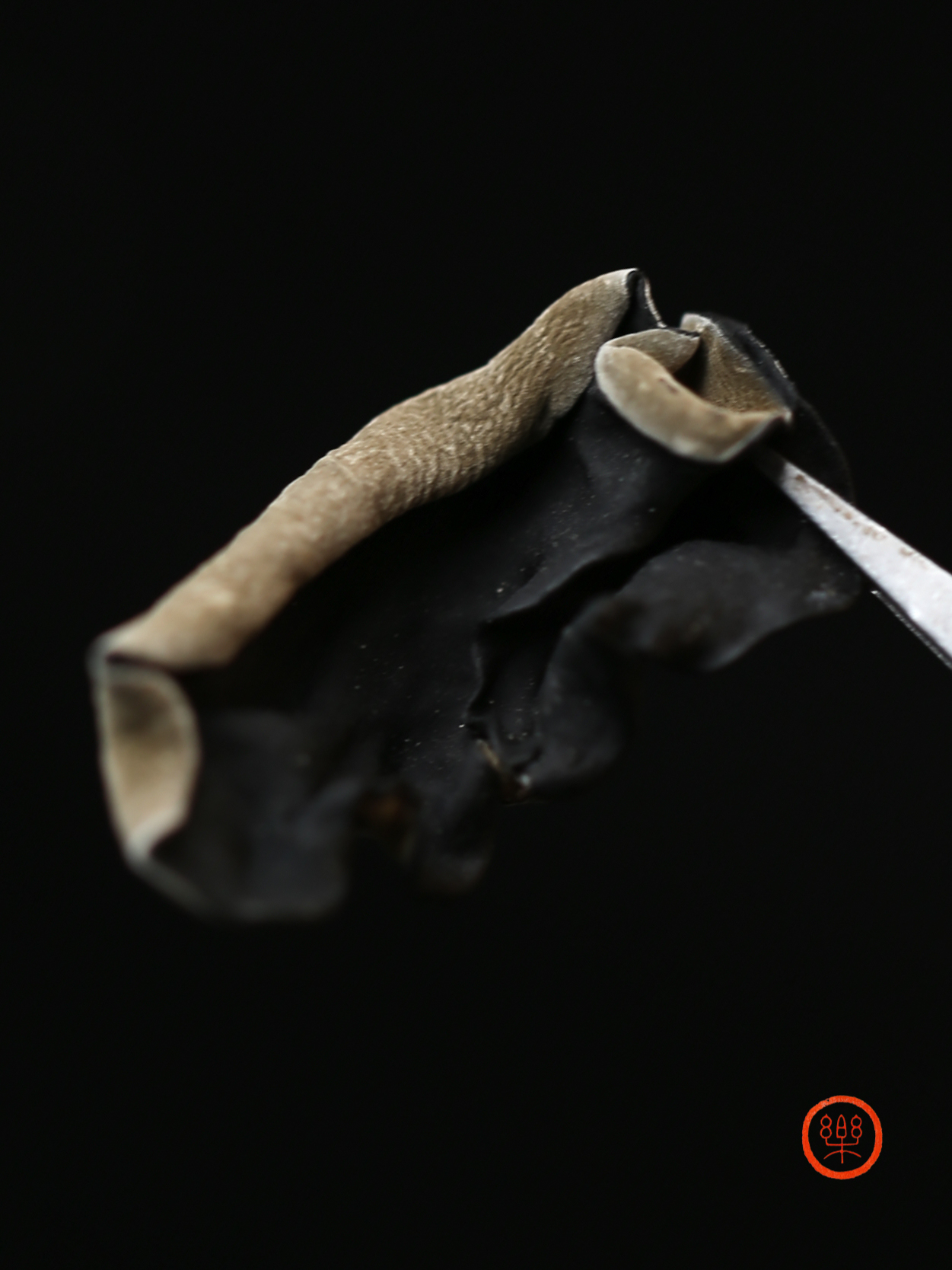 木耳250g，不是大棚种植