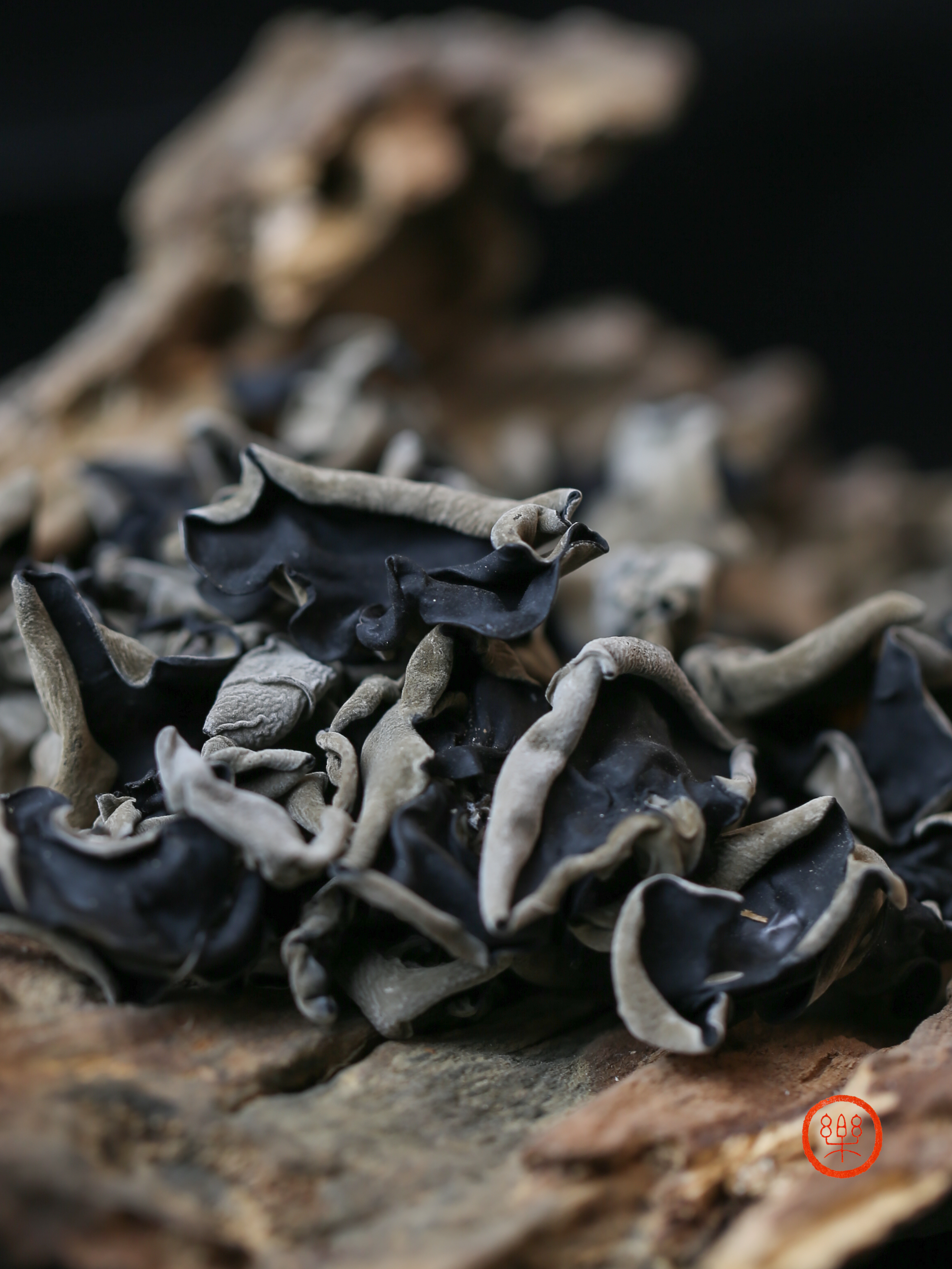 木耳250g，不是大棚种植