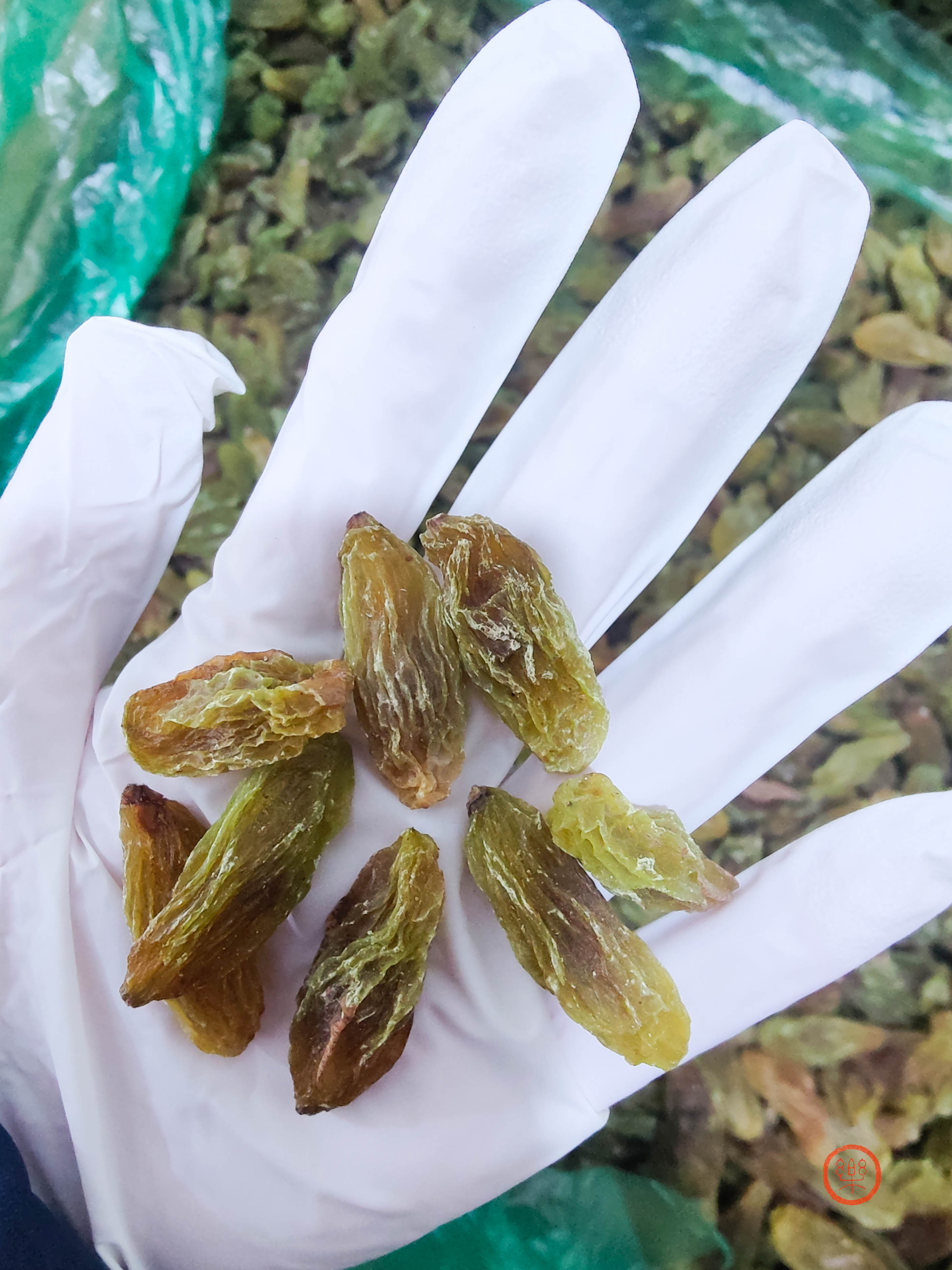 【预售】葡萄干500g