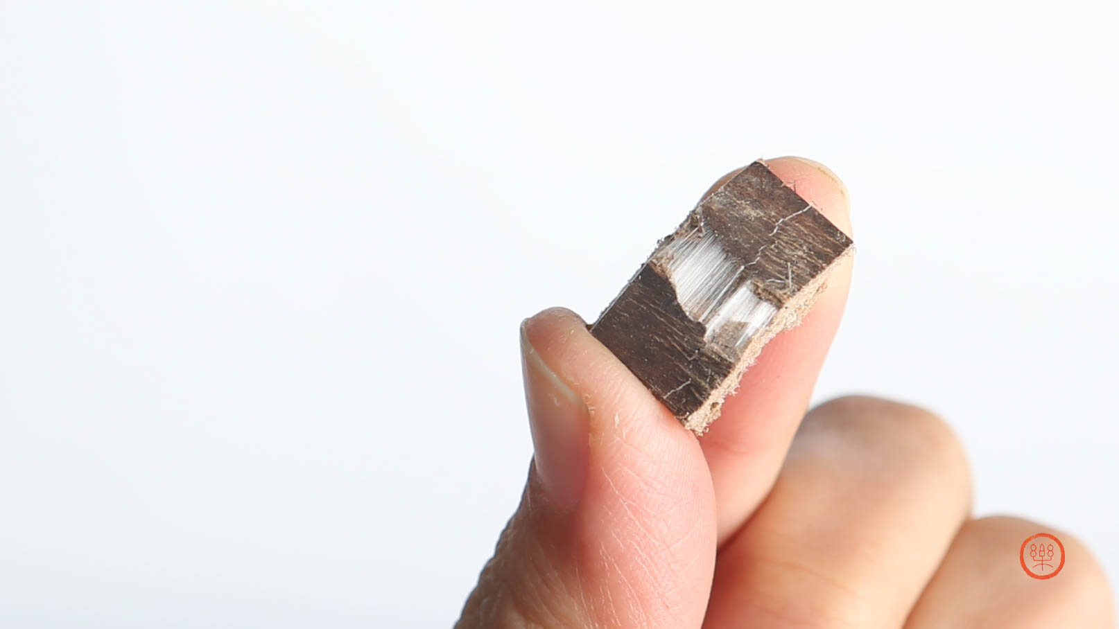 杜仲500g（1斤）|安徽岳西