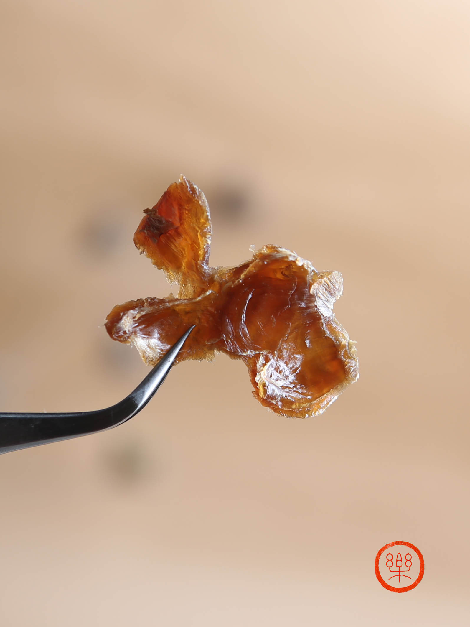 桂圆干500g|福建莆田