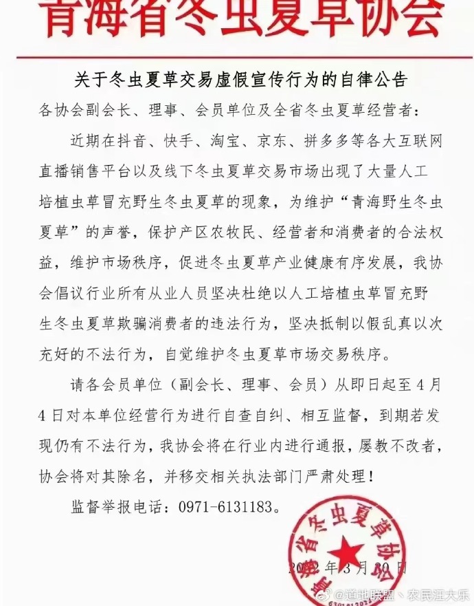 昂毛,冬虫夏草