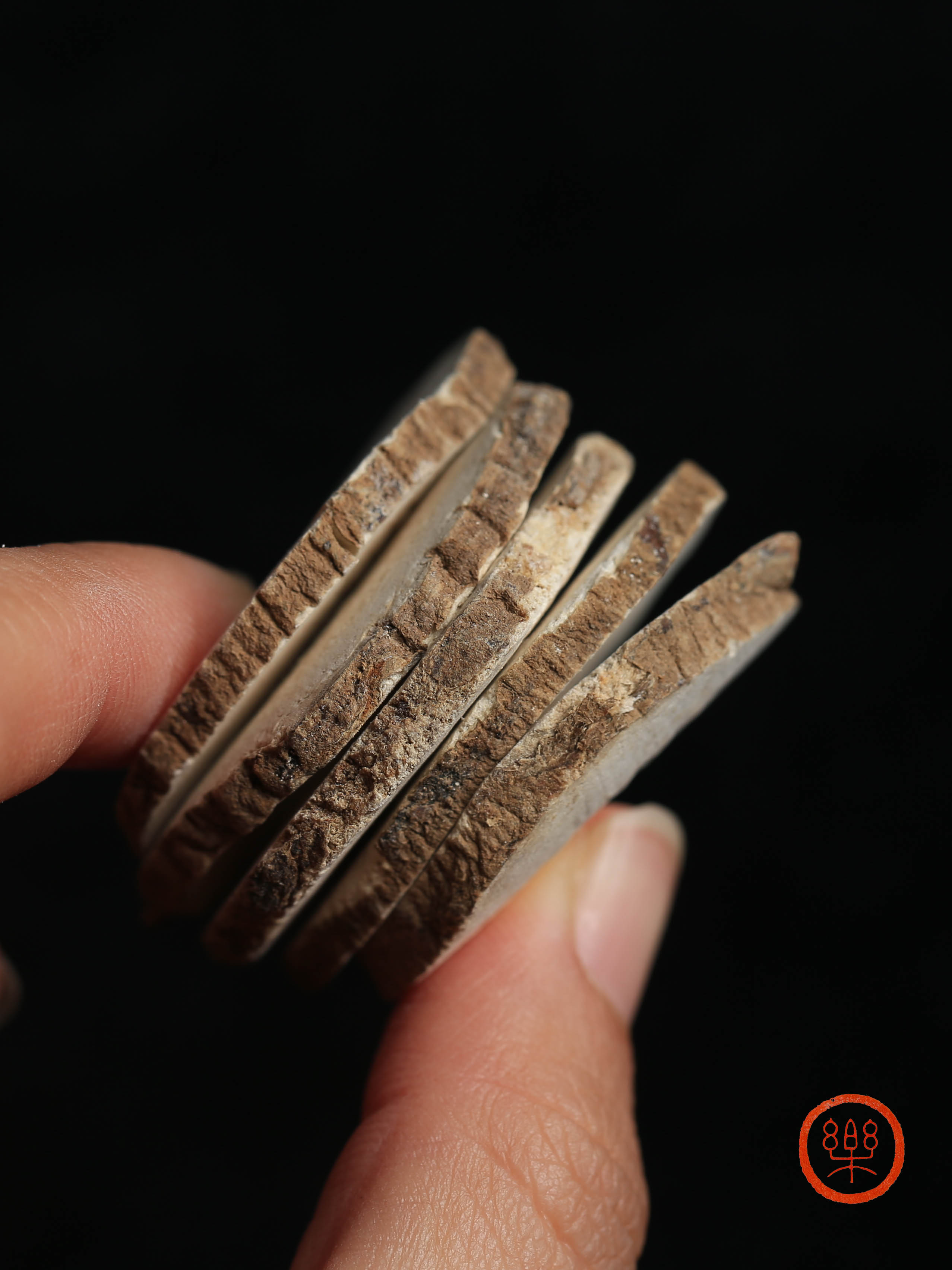 川白芷  250g/29.8