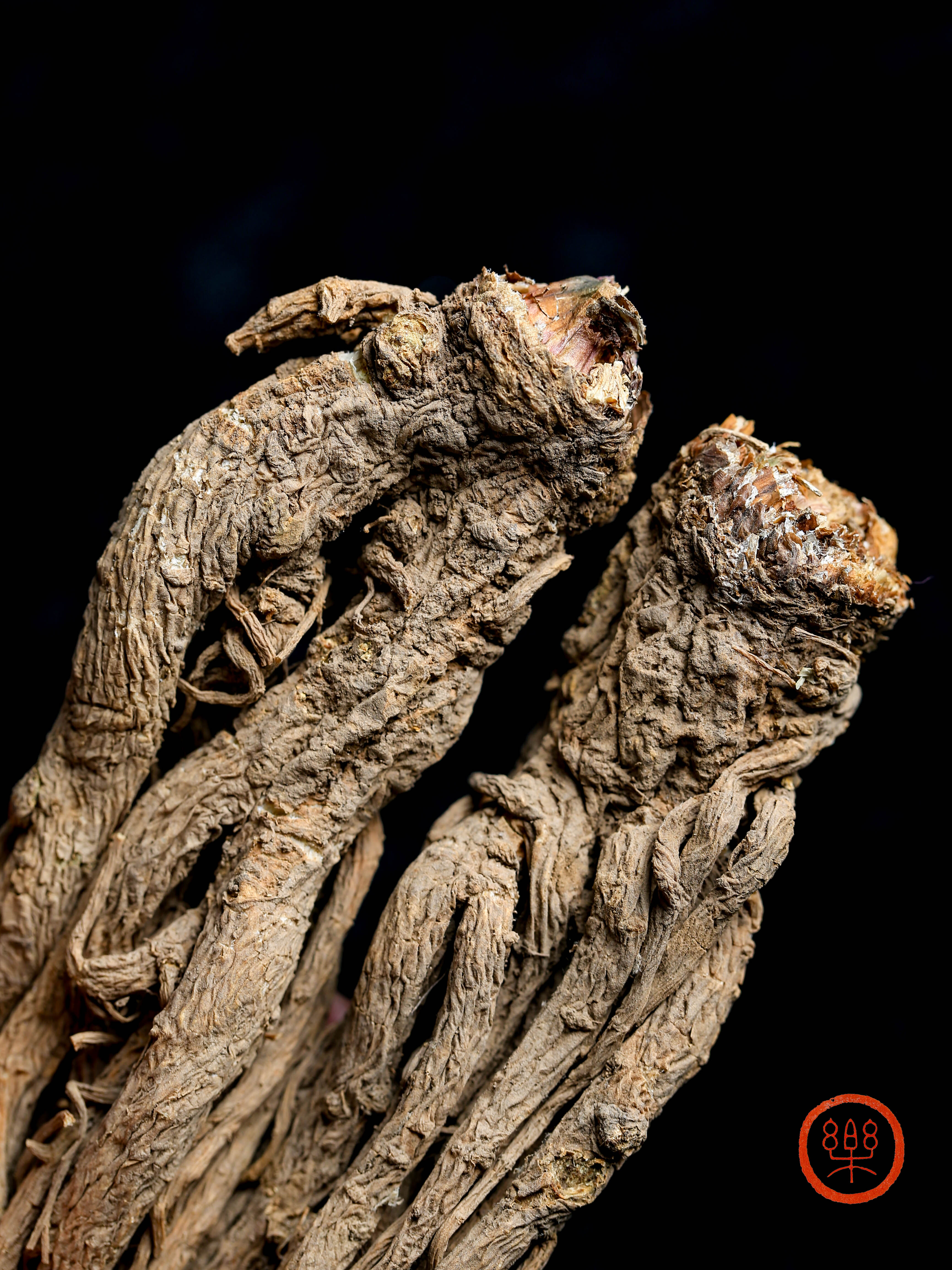 当归个250g|甘肃岷县