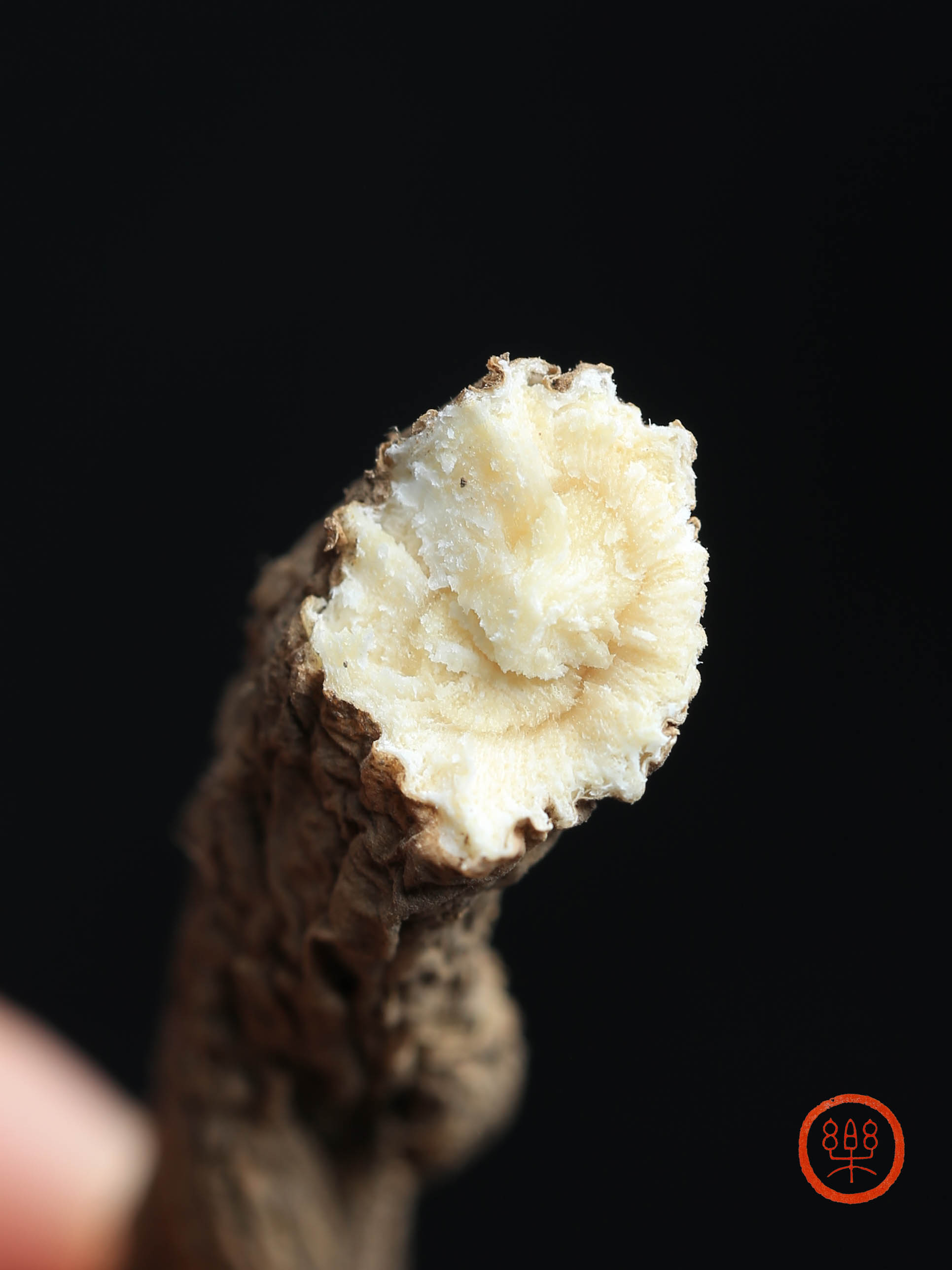 当归个250g|甘肃岷县