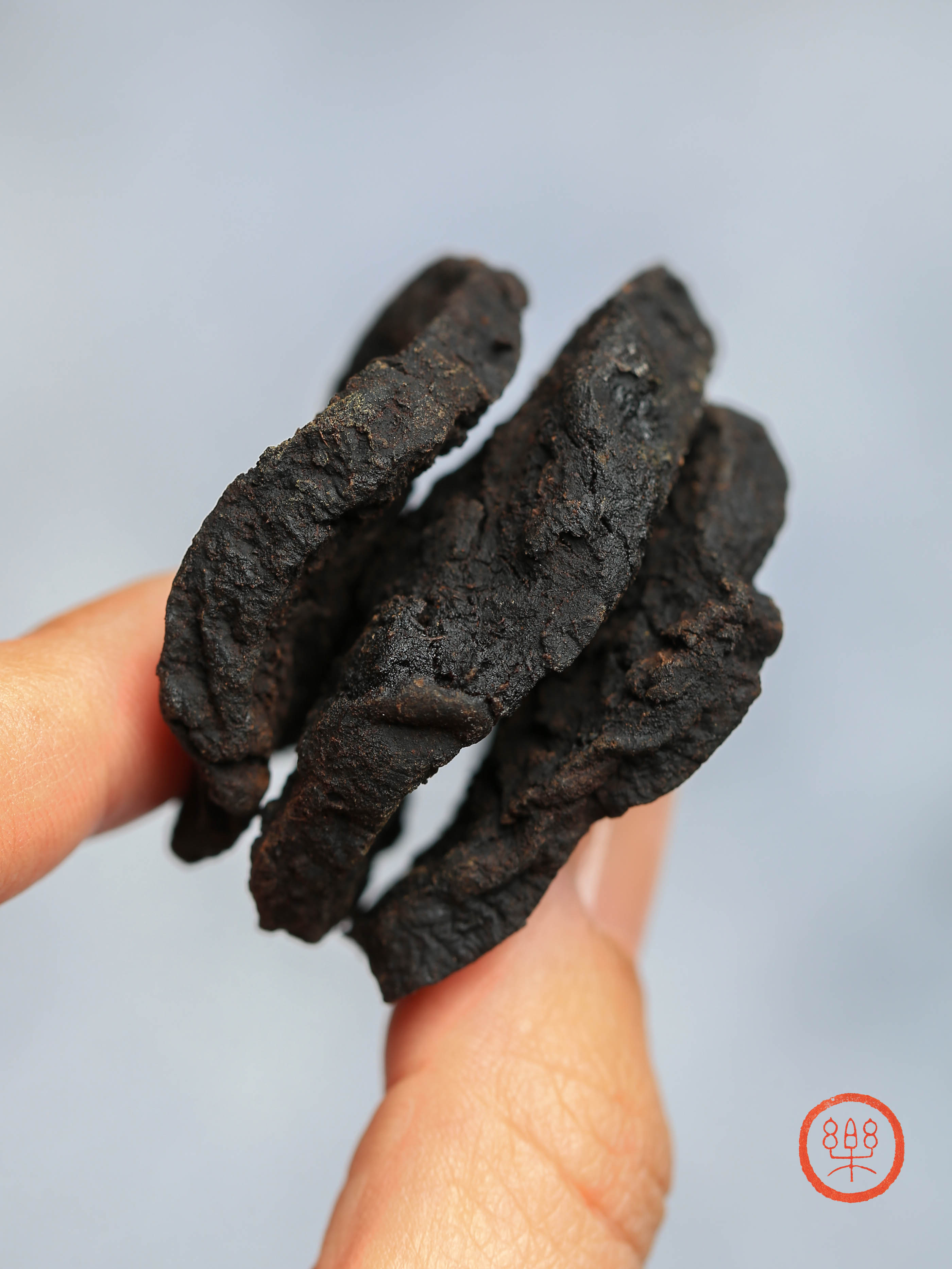 柴火九制何首乌250g