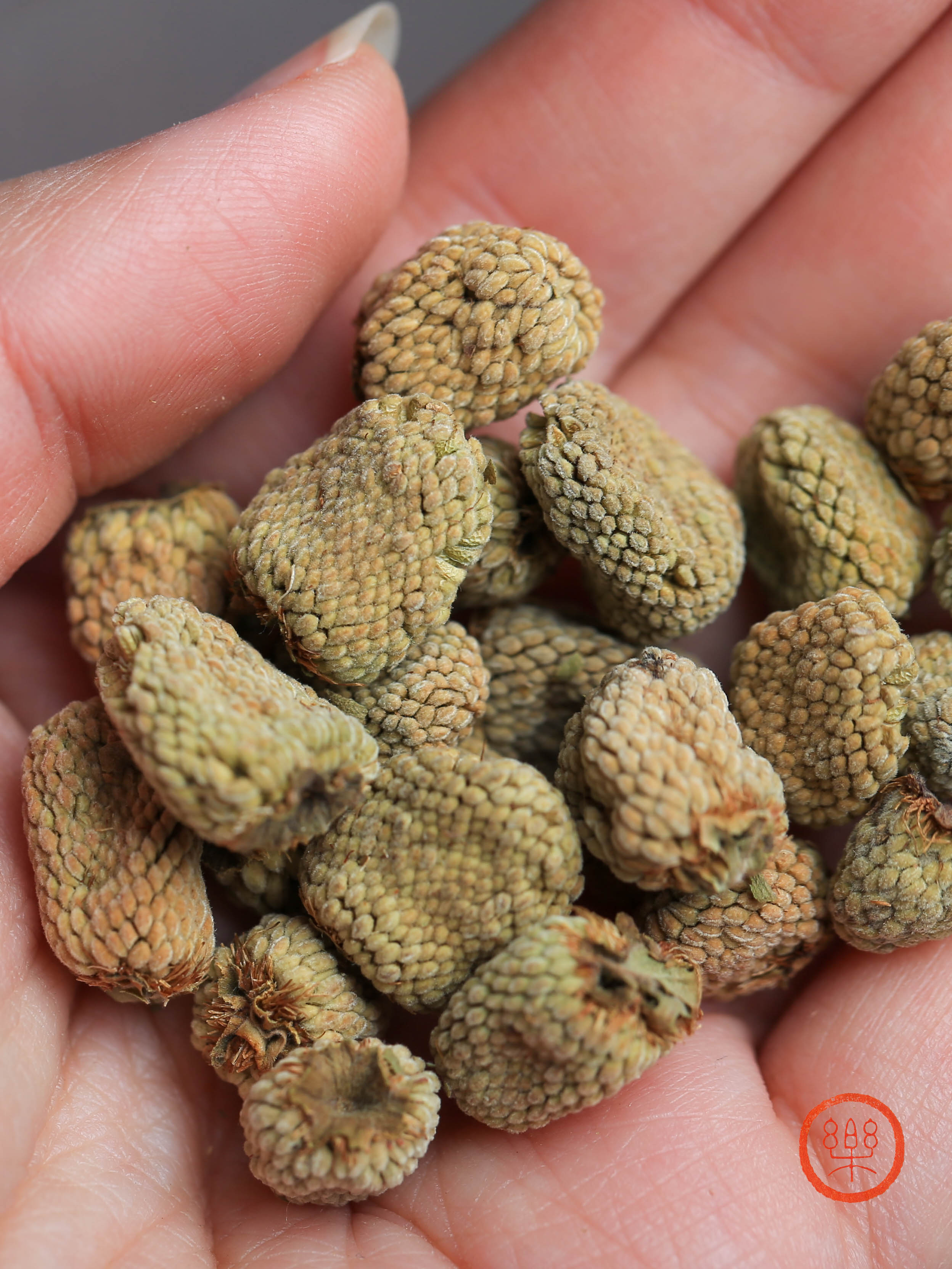 浙江磐安覆盆子 250g