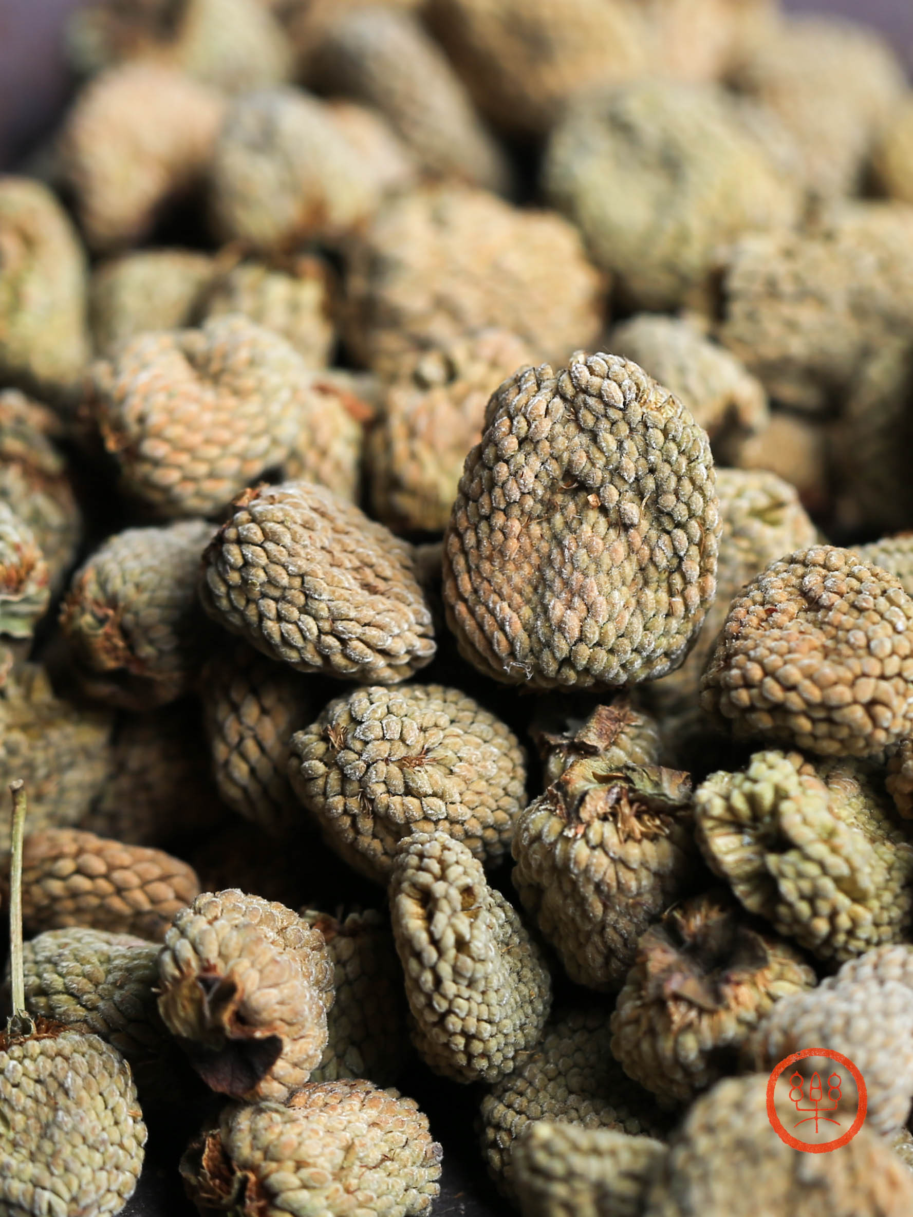 浙江磐安覆盆子 250g