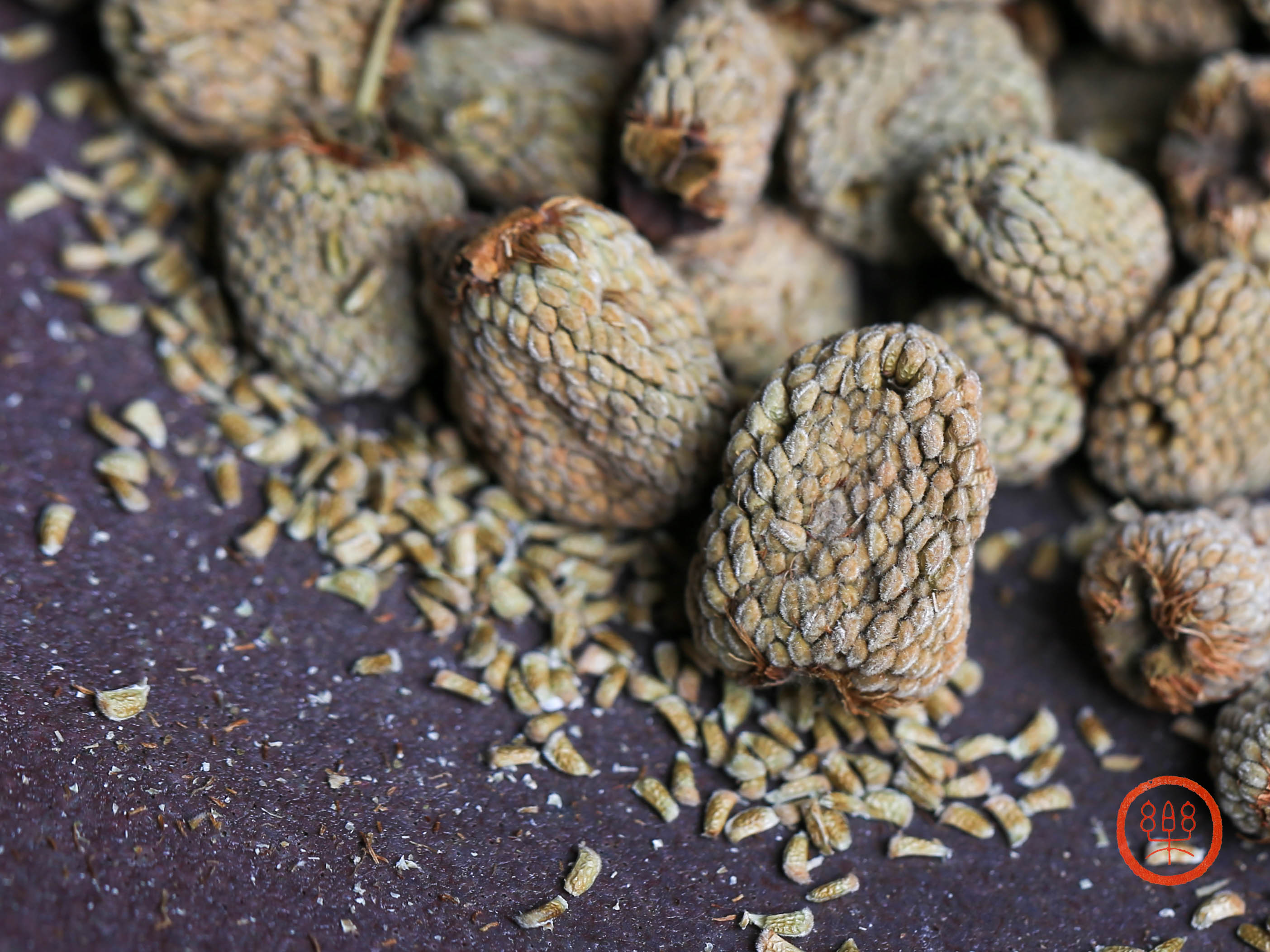 浙江磐安覆盆子 250g