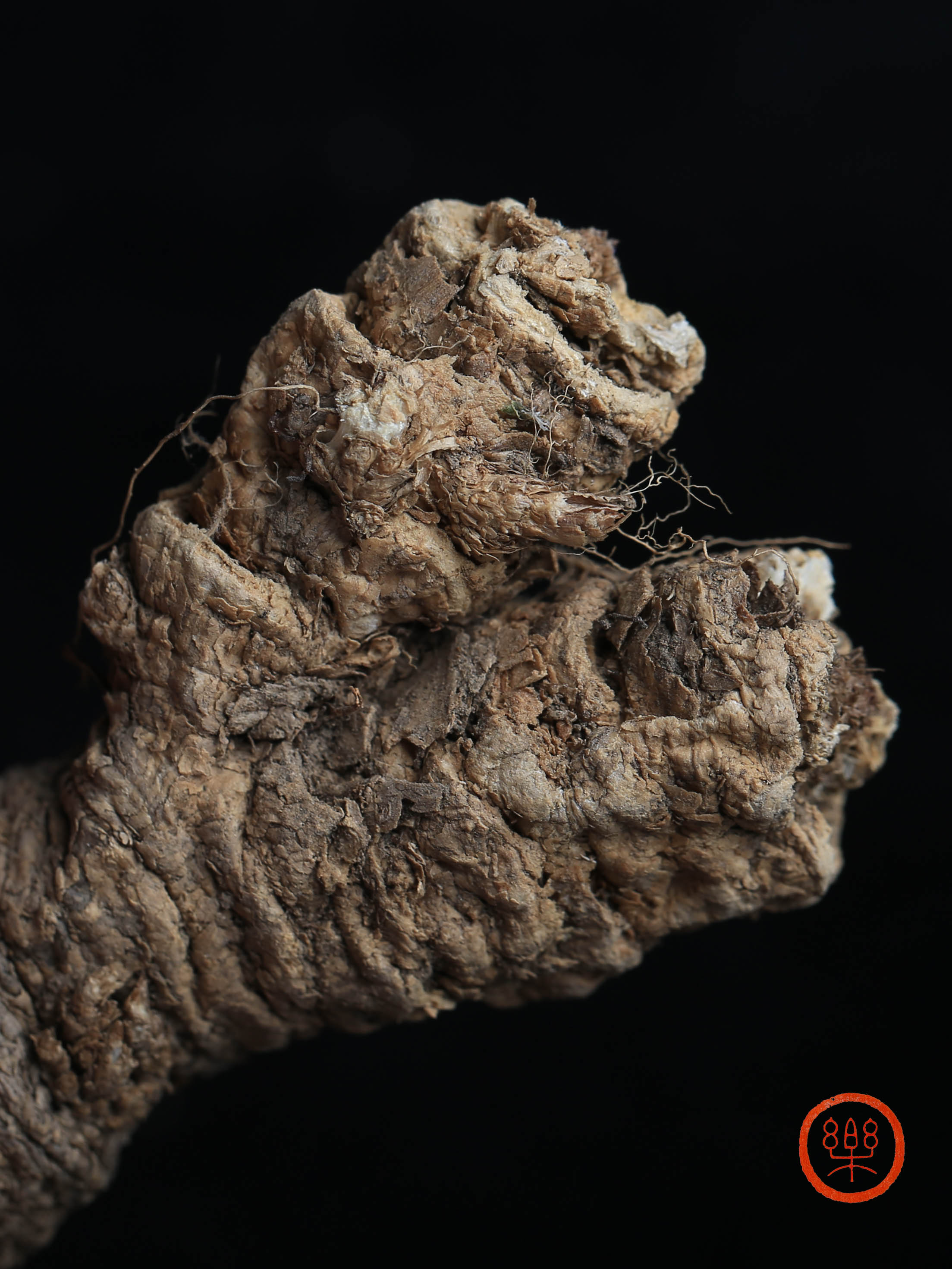 野生南沙参（泡参）250g