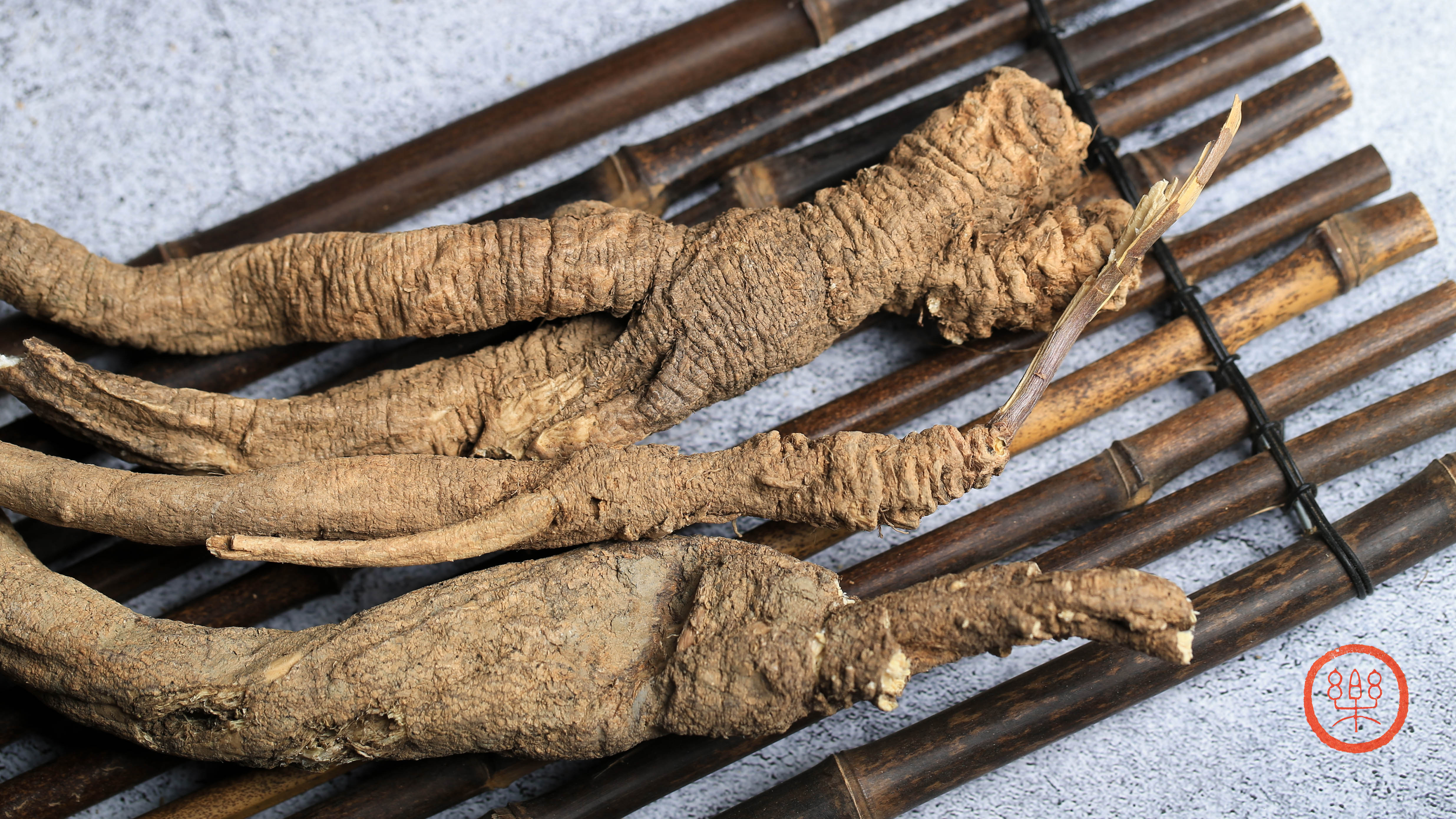 野生南沙参（泡参）250g