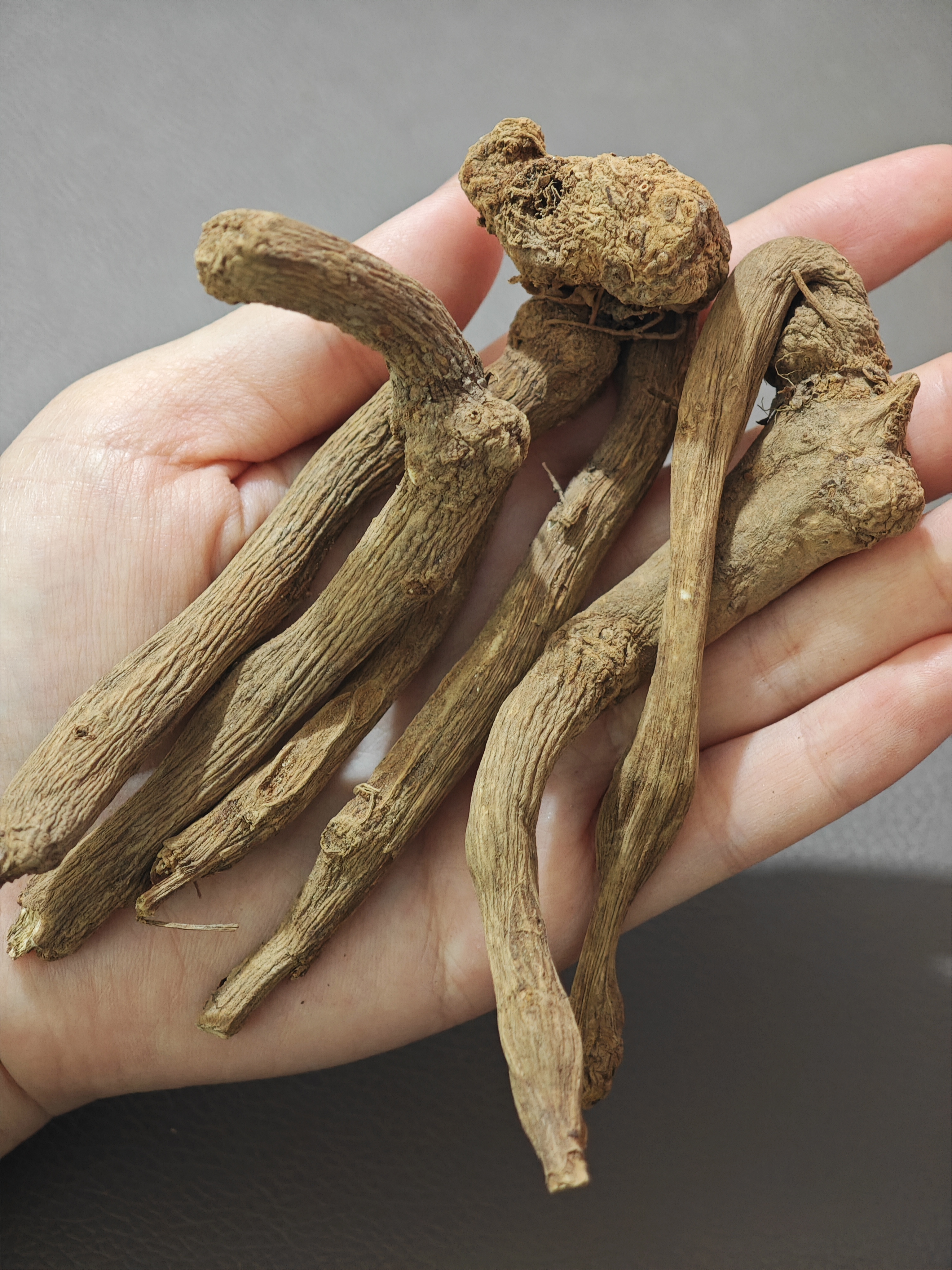 白术(林下)250g|安徽岳西