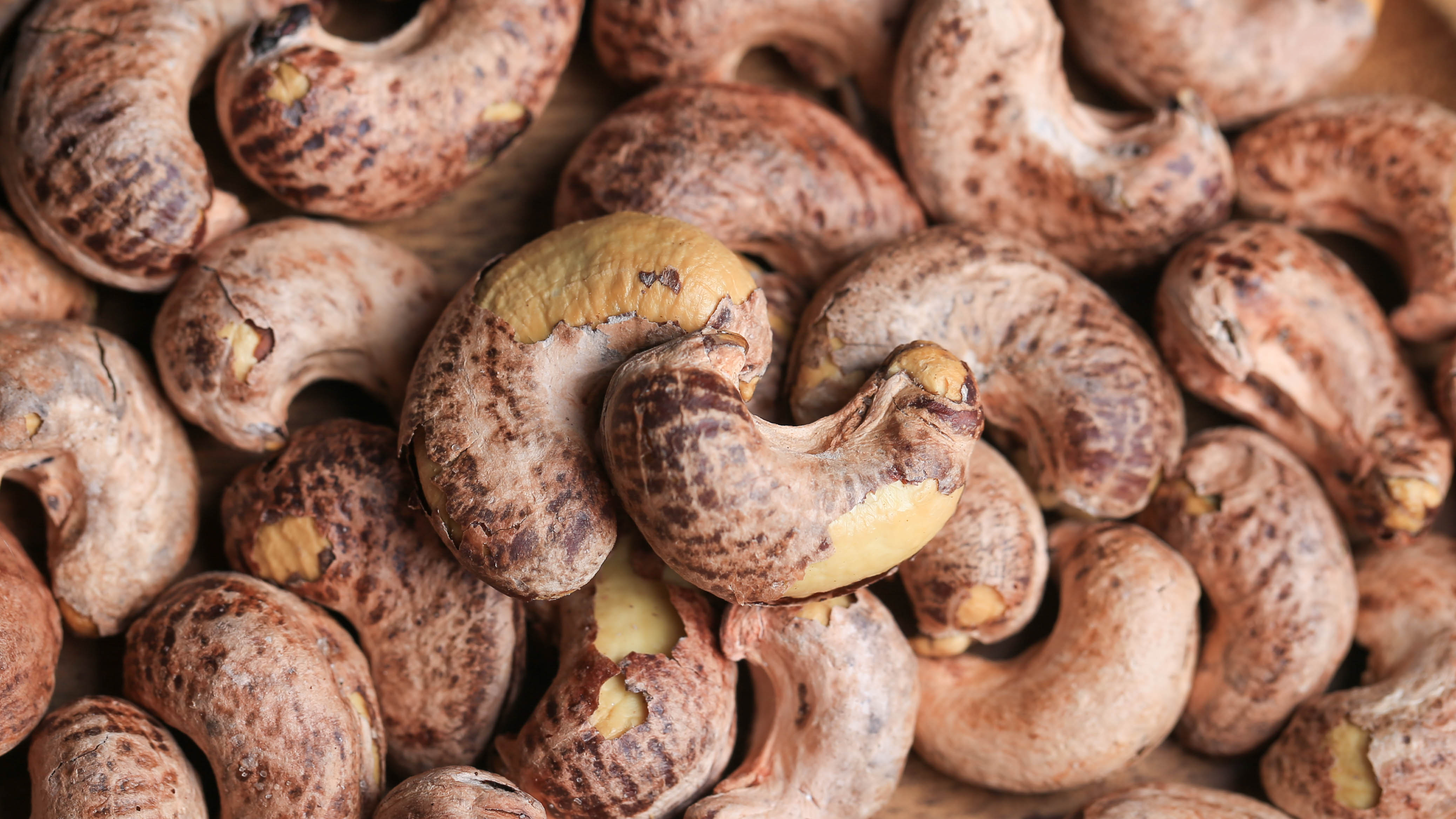 预定 盐焗大腰果 1斤装/58元