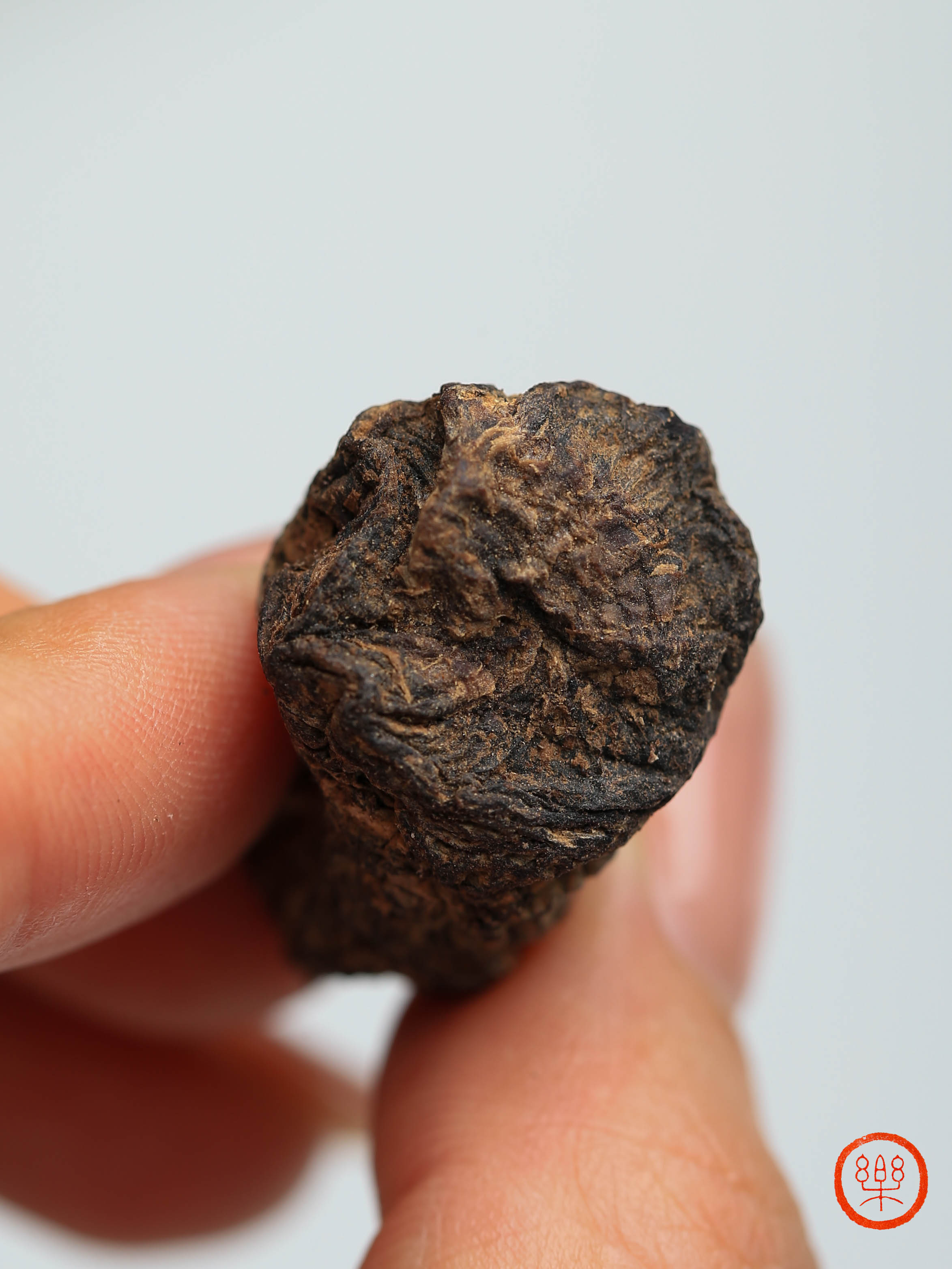 崔永利®生地黄(生态种植)500g|河南温县