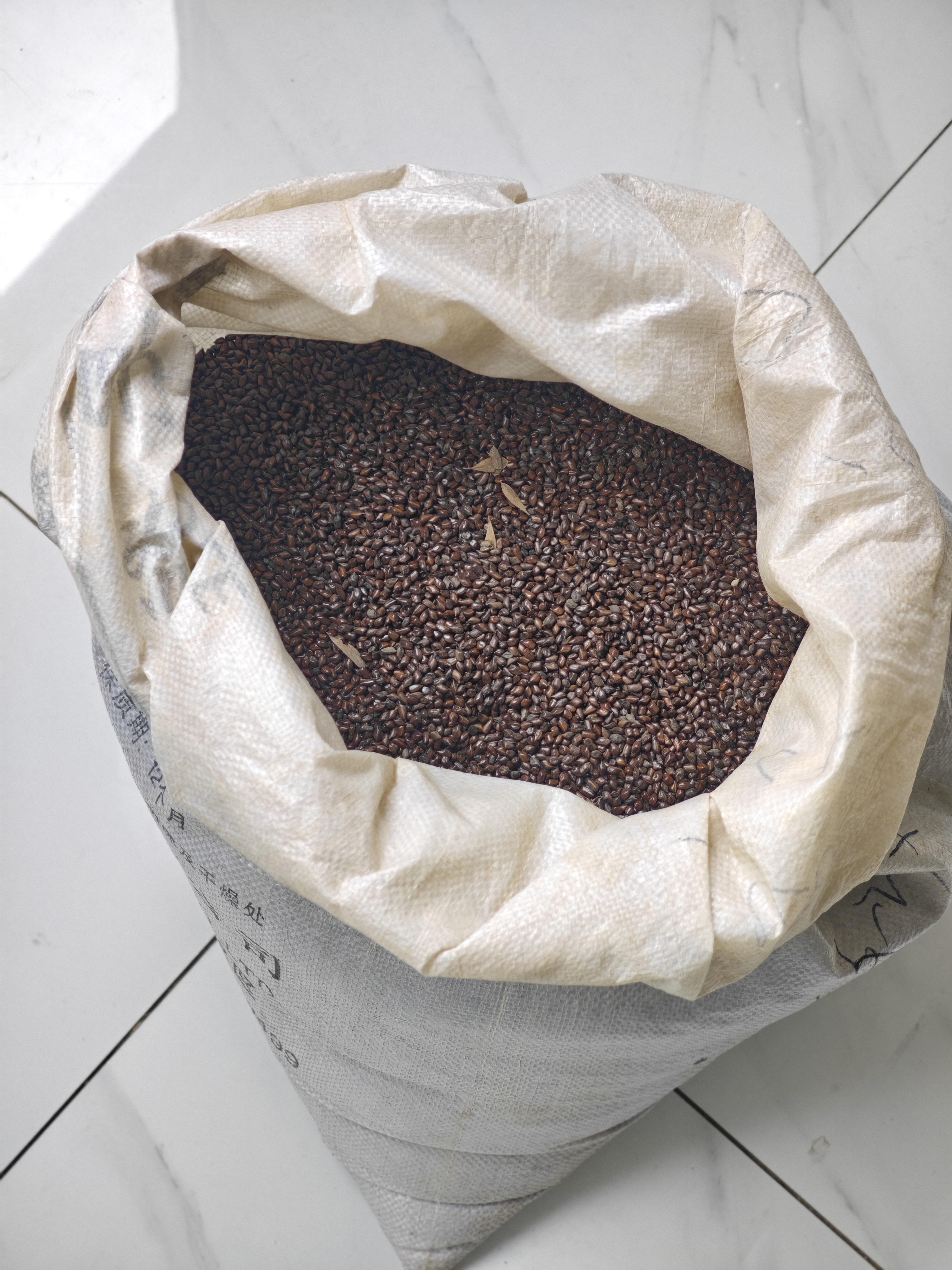 决明子250g