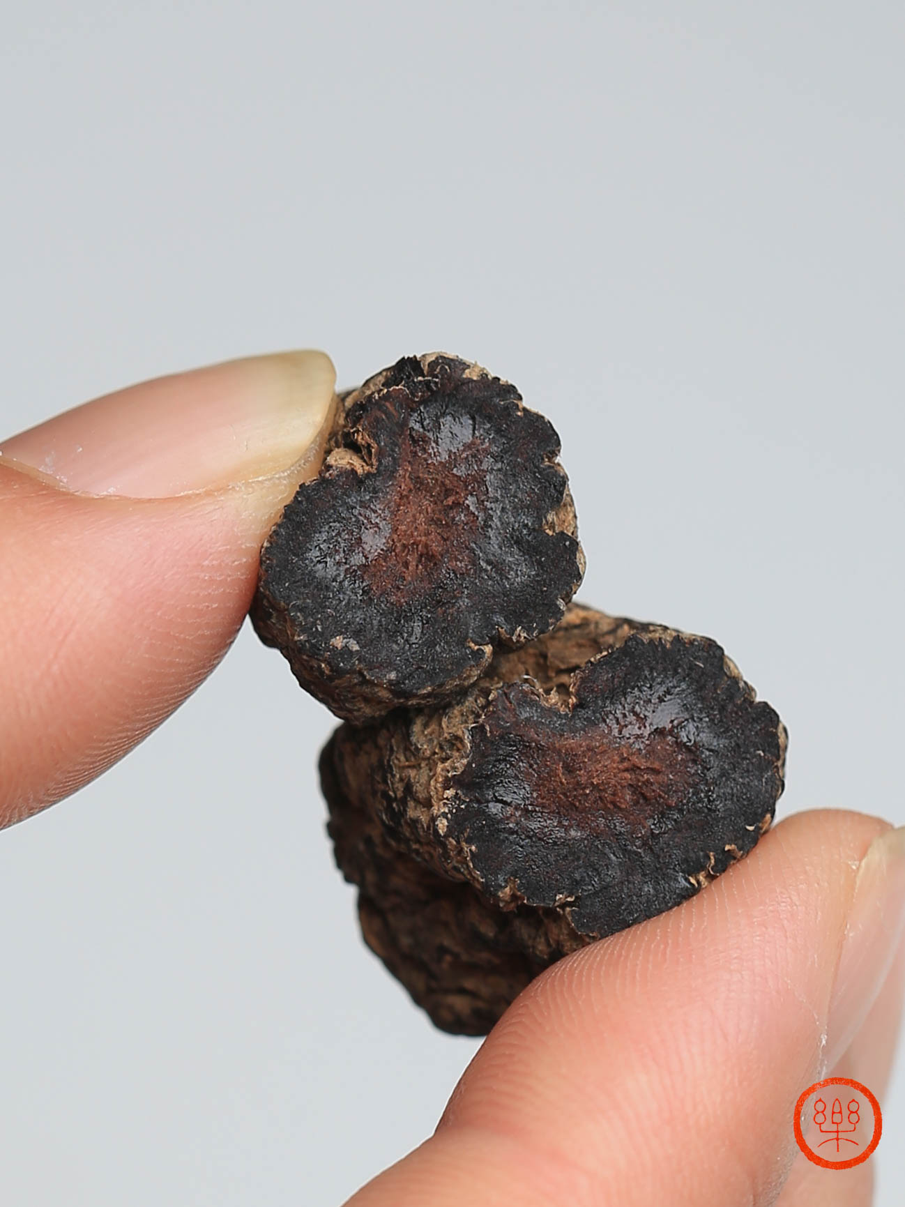 崔永利®生地黄(生态种植)500g|河南温县