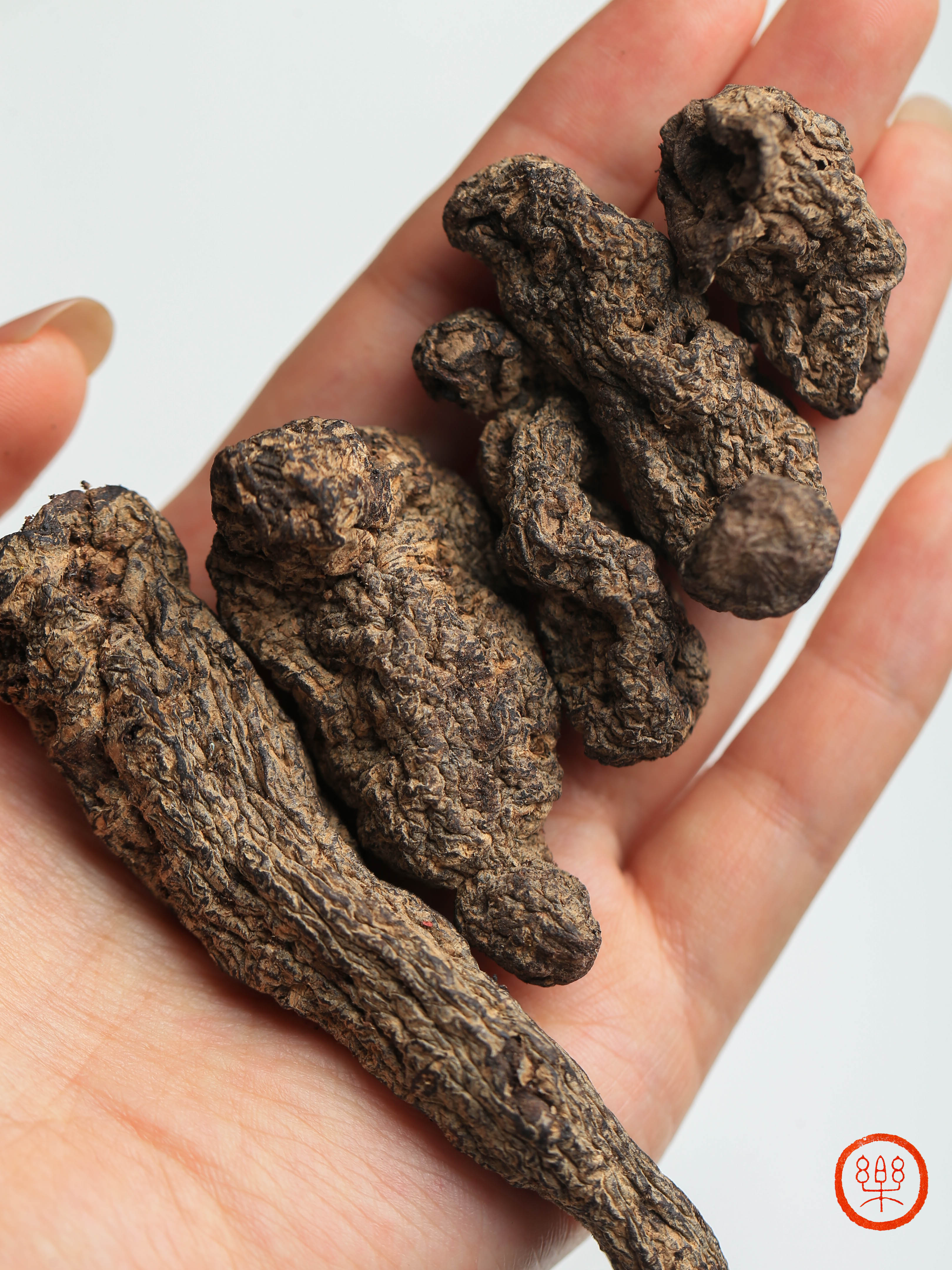 崔永利®生地黄(生态种植)500g|河南温县