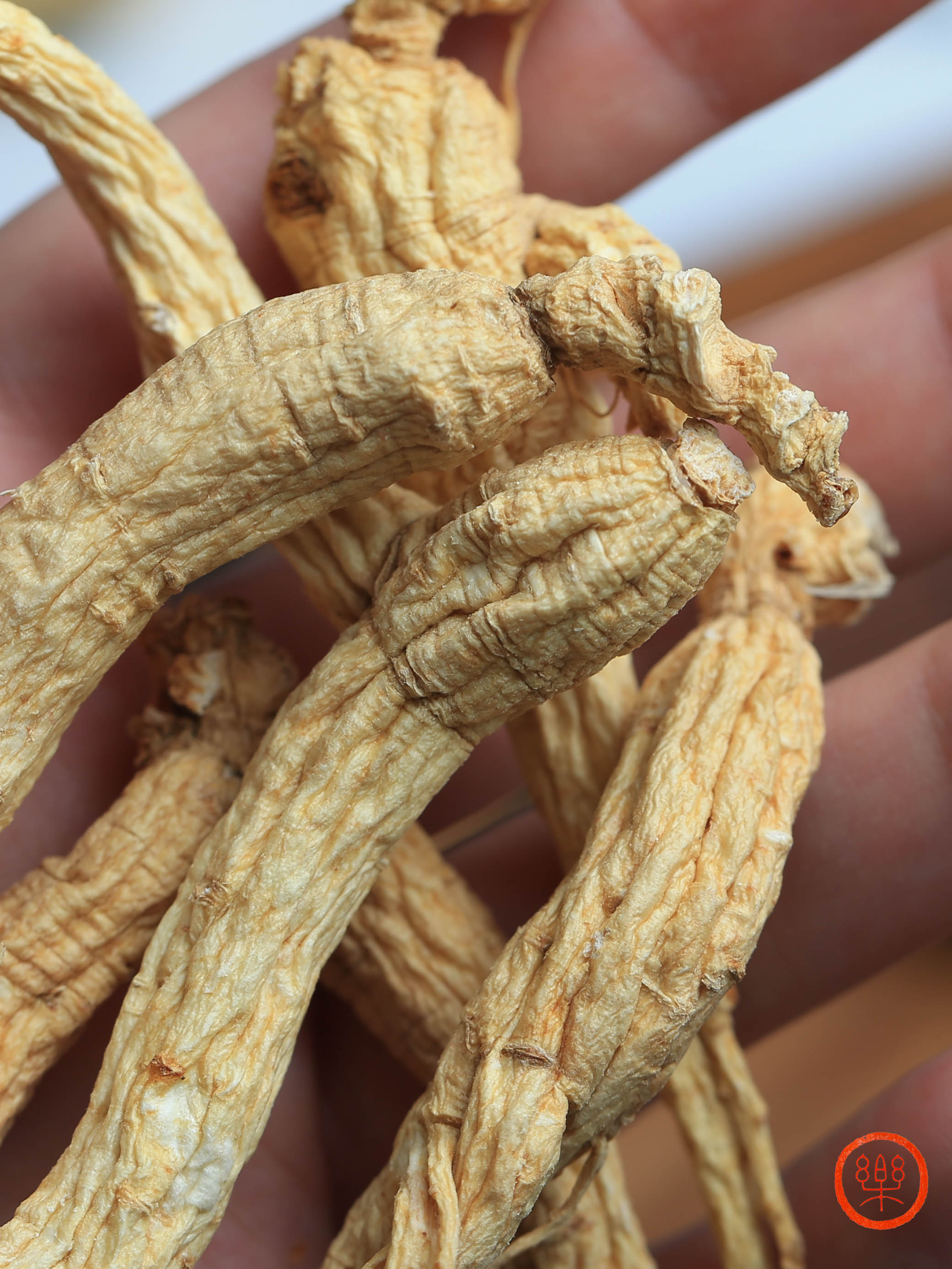 9年山地参250g