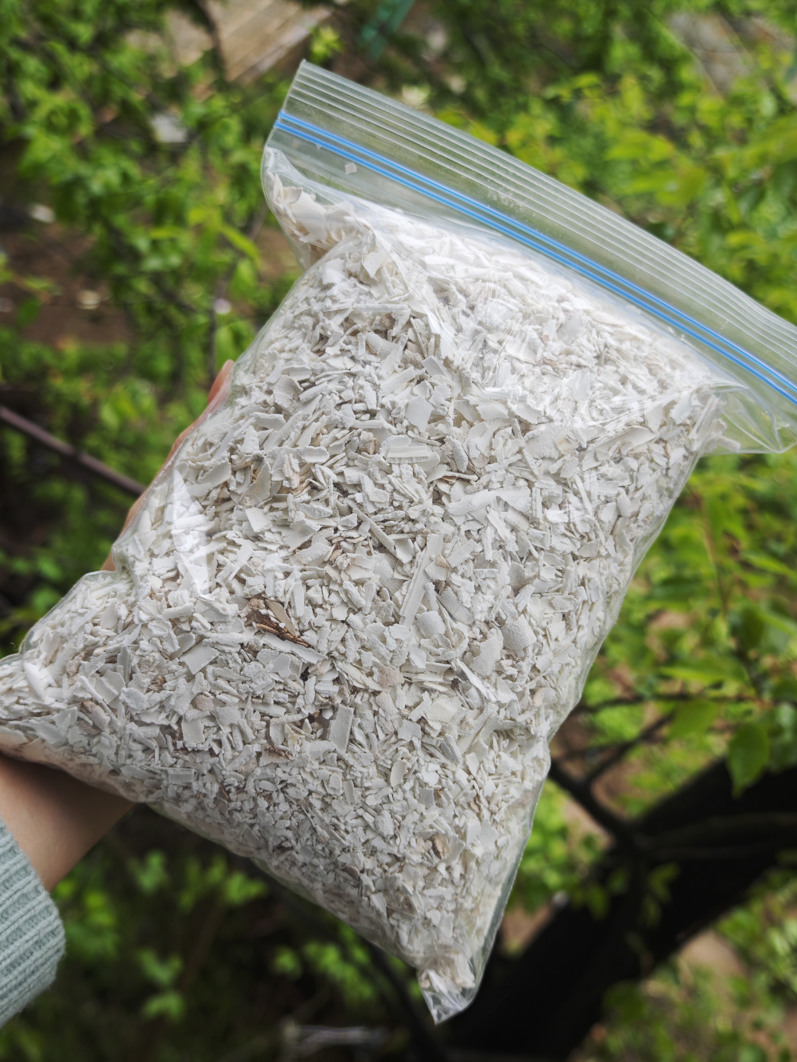 茯苓卷的卷碎沫沫（福利款）/800g  40元