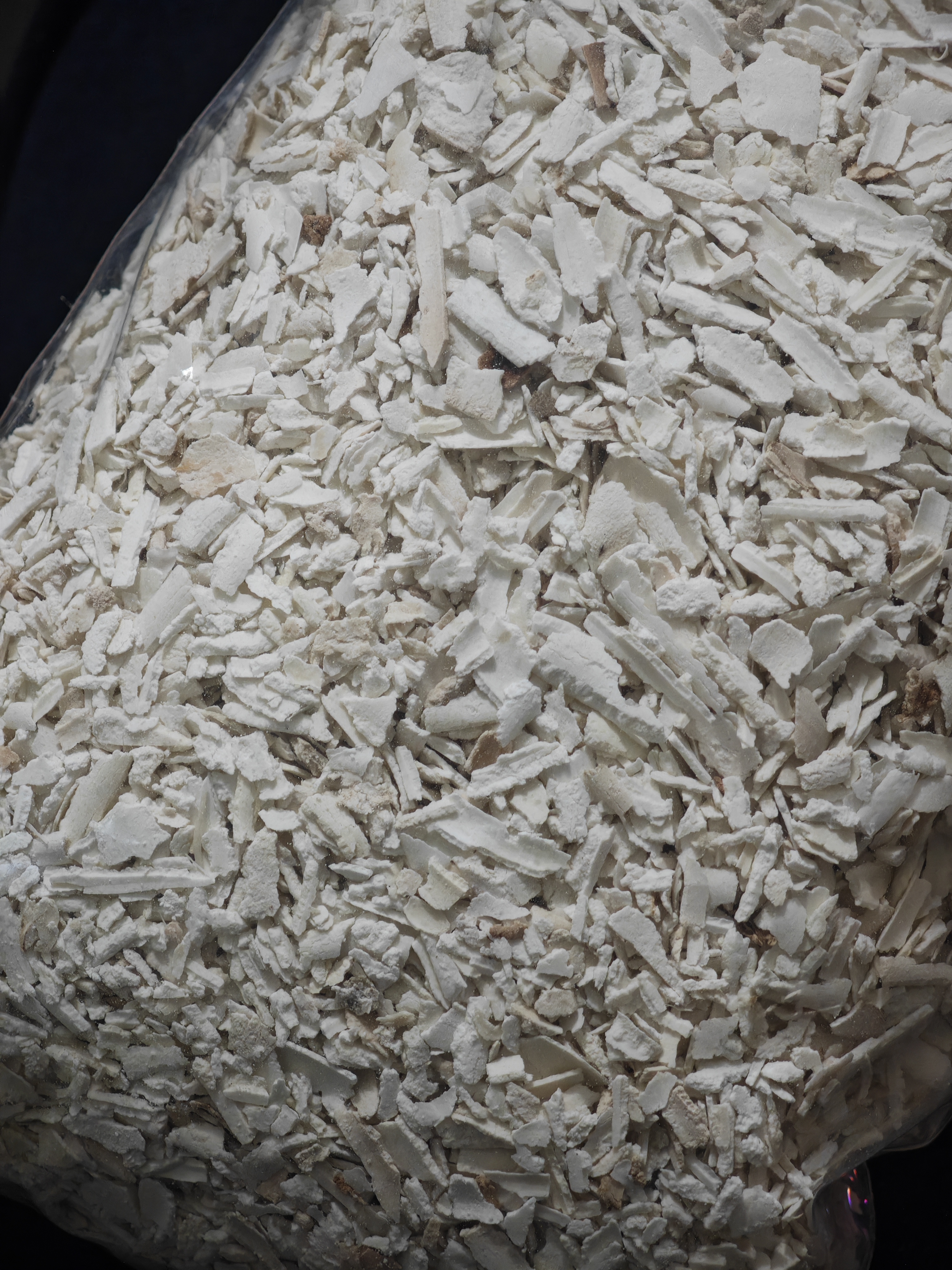 茯苓卷的卷碎沫沫（福利款）/800g  40元