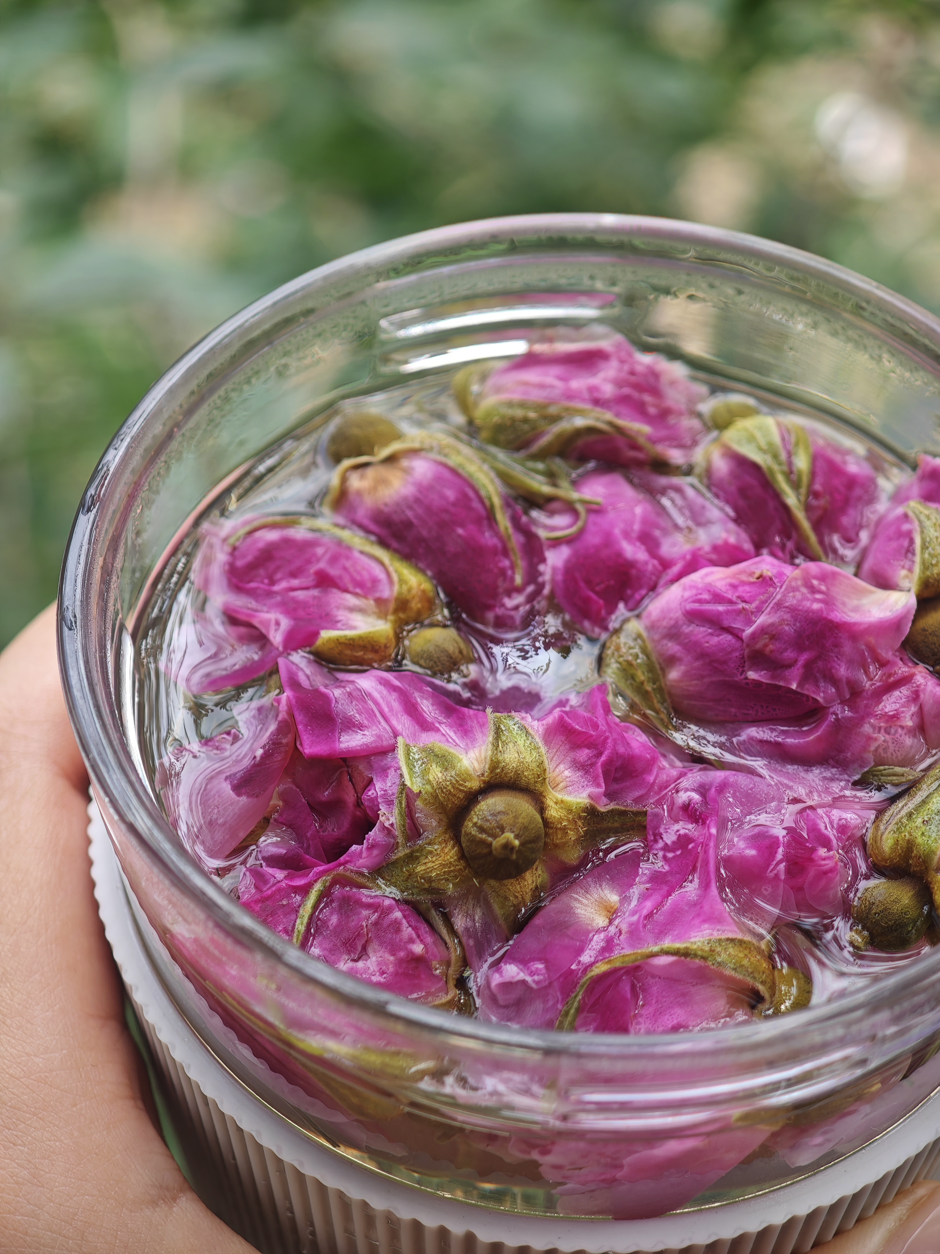 玫瑰花茶100g|山东平阴