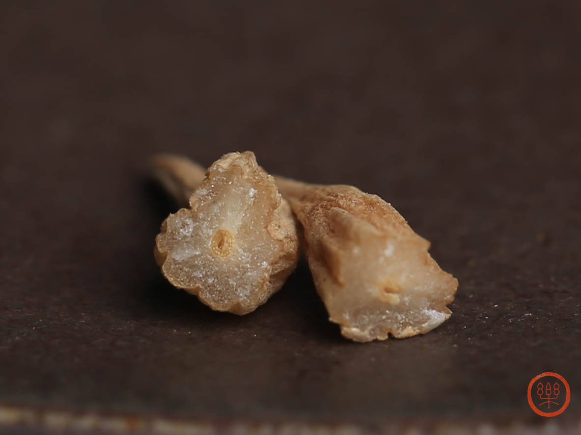 杭麦冬 浙麦冬200g|浙江慈溪产,气味正确 这一批品相不是很好
