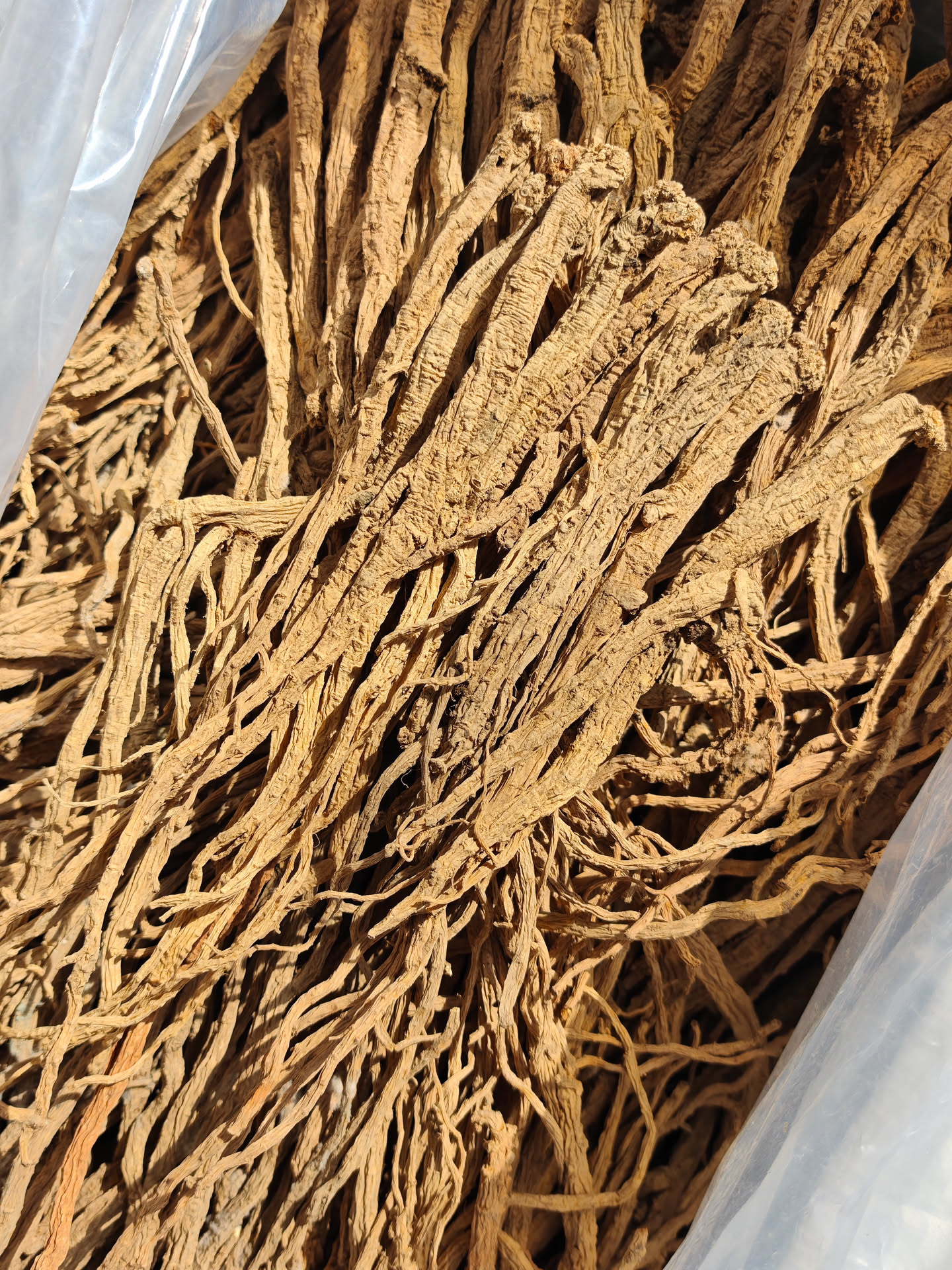 野生党参500g/250g